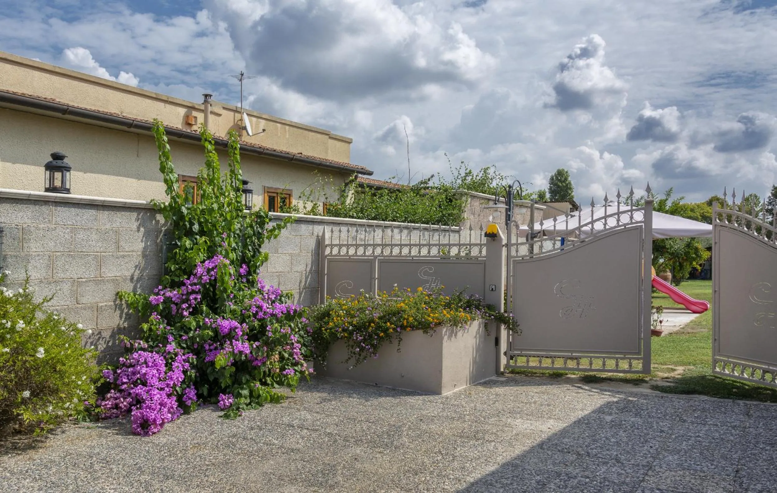 Garden in Colorado Home