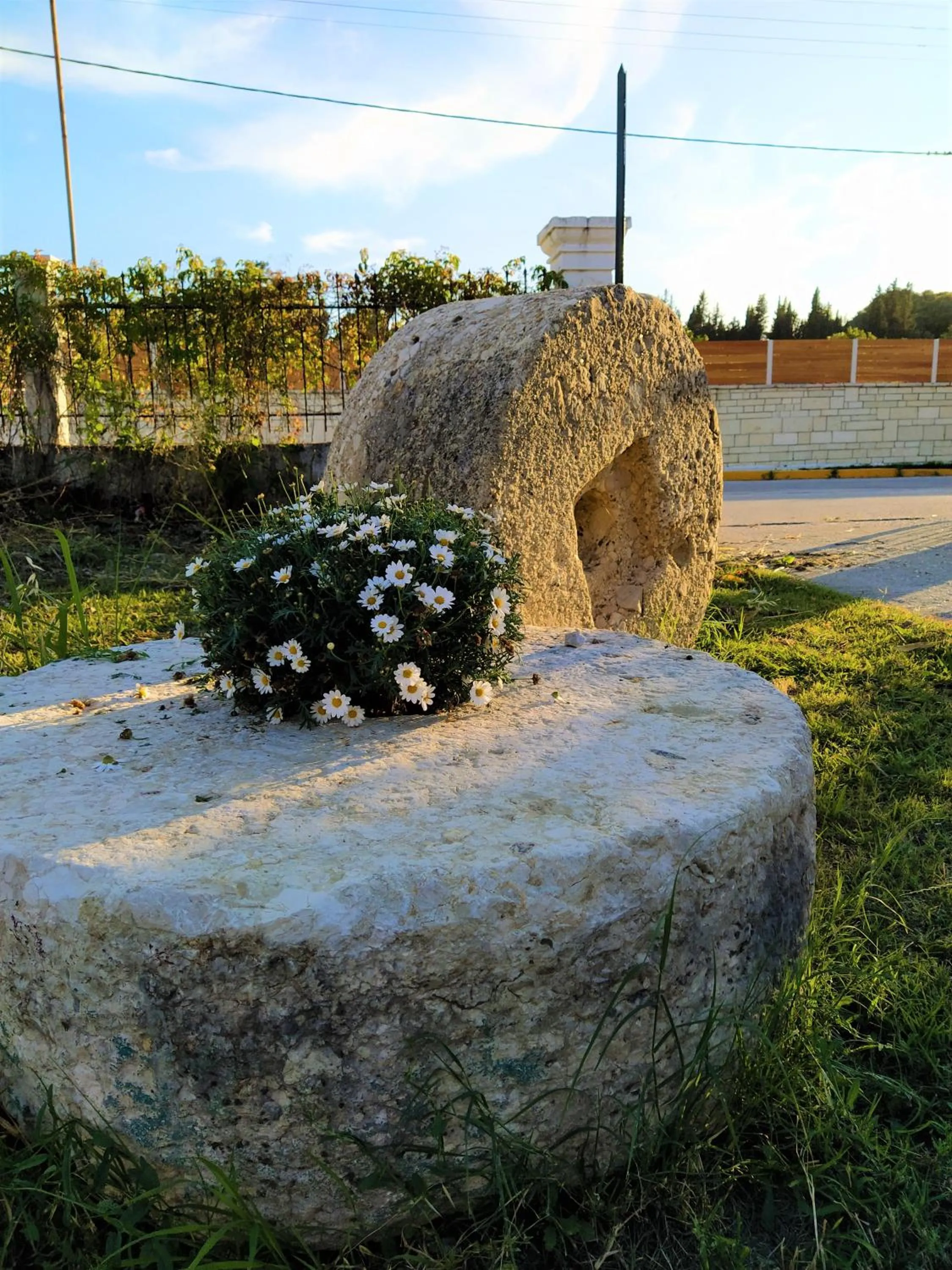 Natural landscape in Ever Green