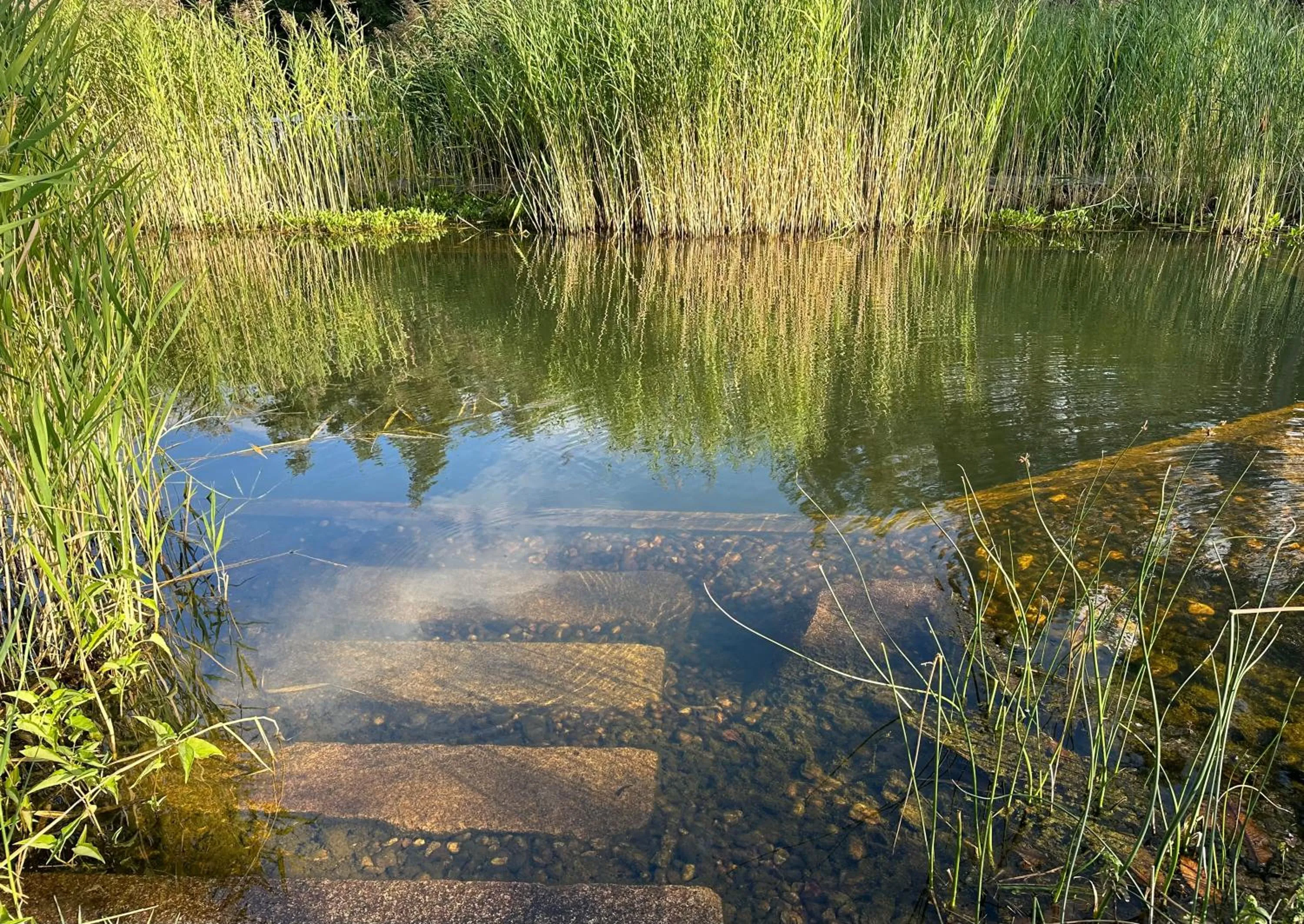 Swimming pool in Du côté de chez Sam
