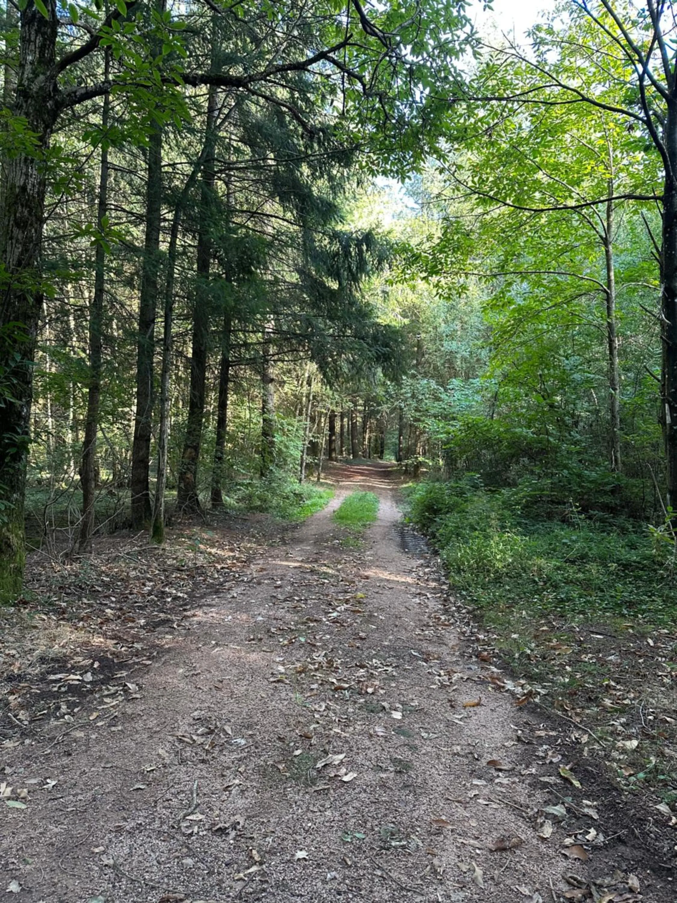 Du côté de chez Sam