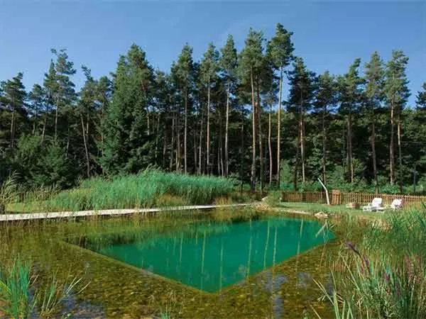 Swimming pool in Du côté de chez Sam