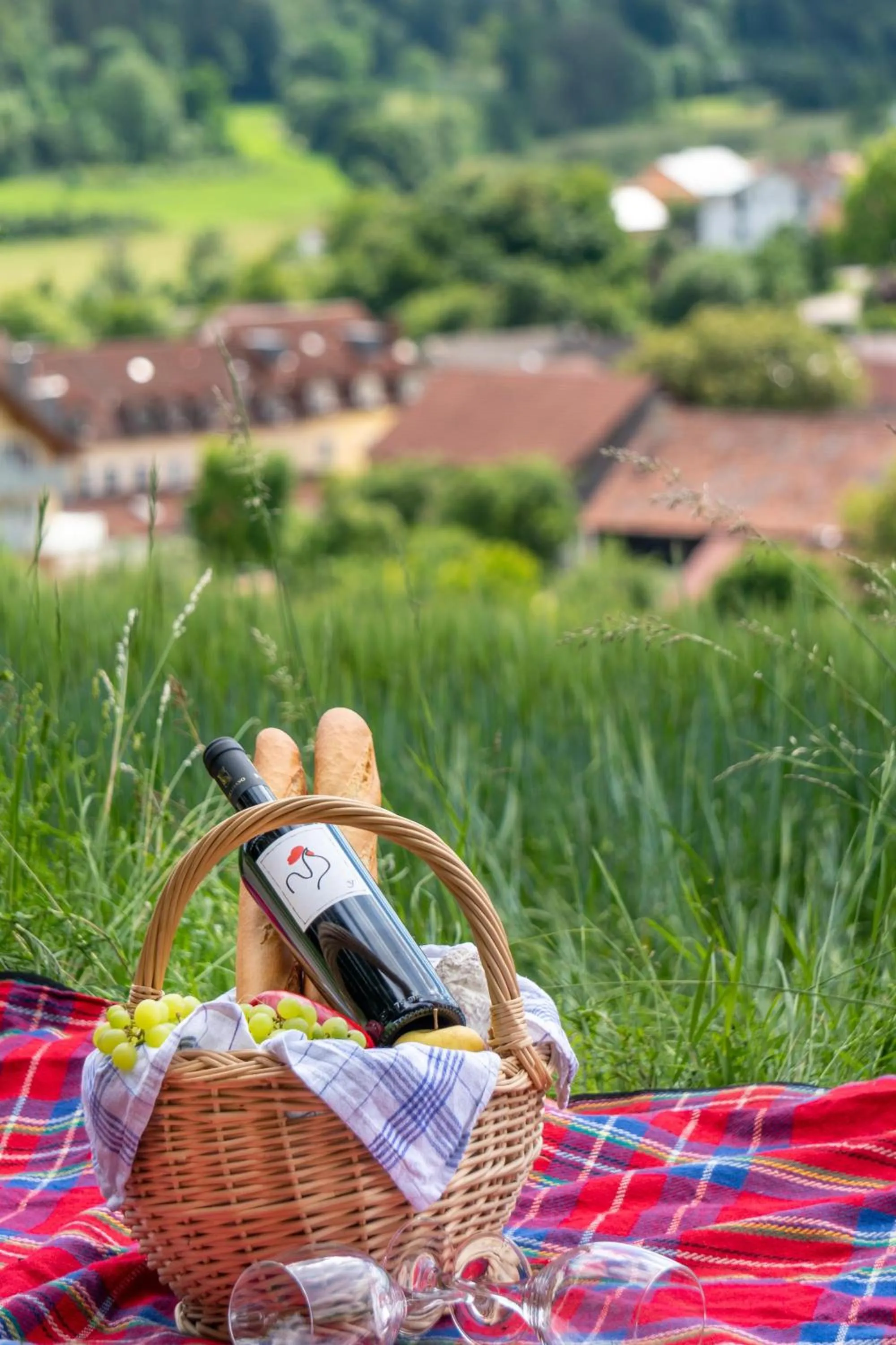 Area and facilities in Hotel Dirsch Wellness & Spa Resort