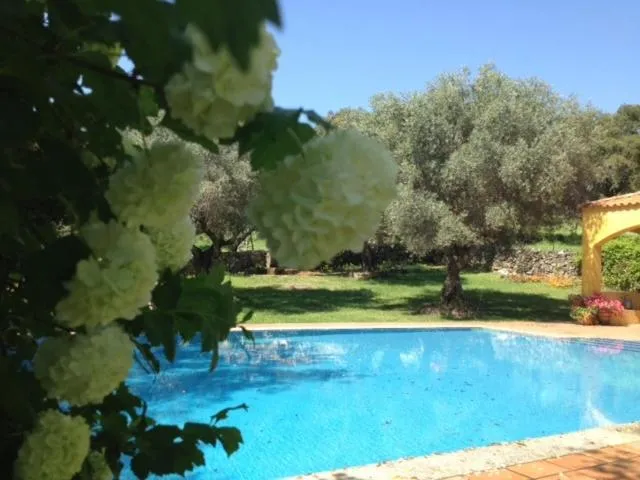 Swimming pool in Apartamentos Rurales La Macera ****