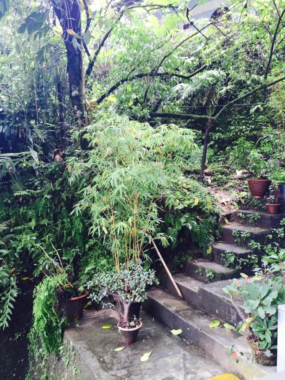 Natural landscape in Vamoose Pegs