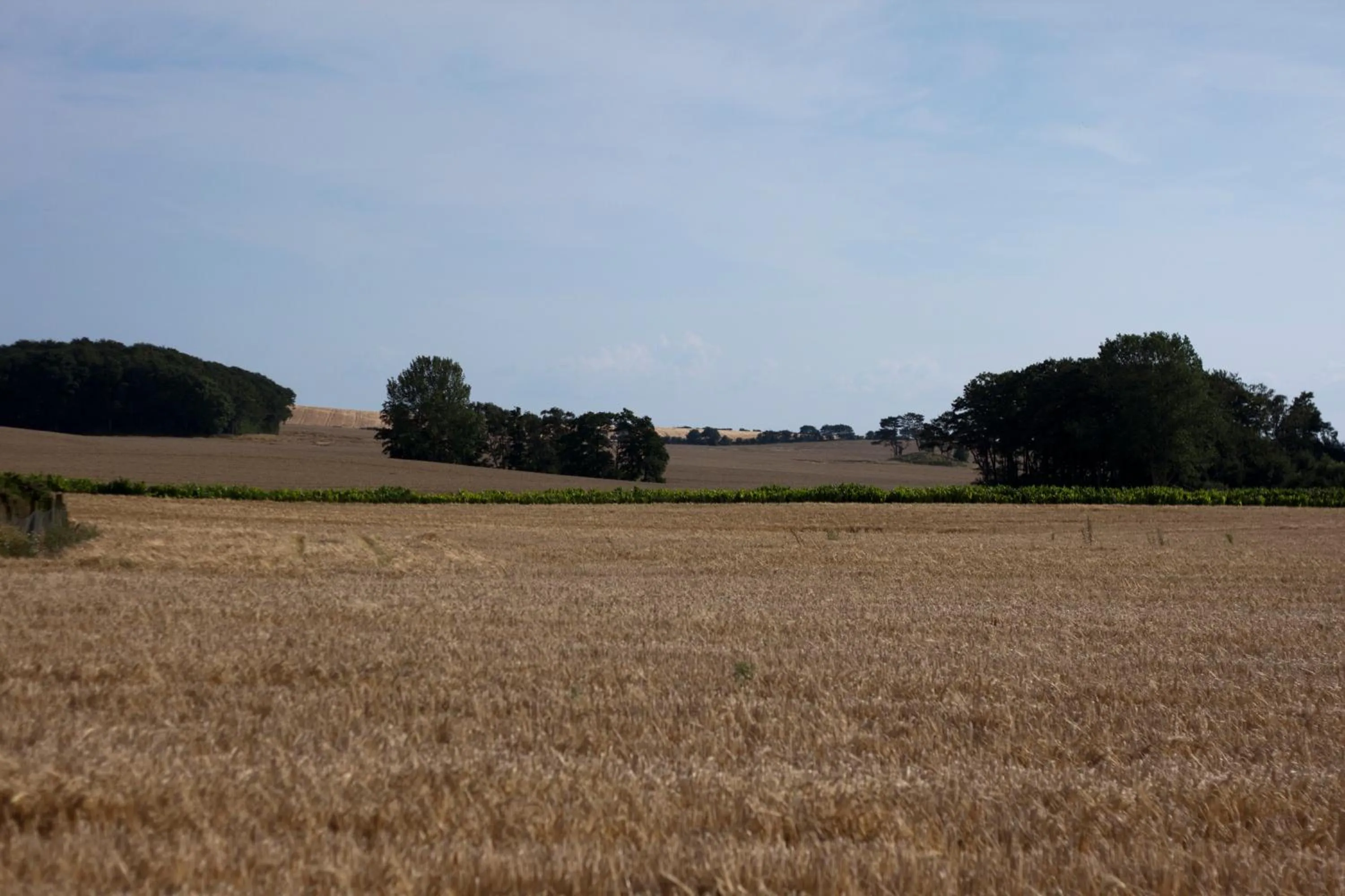 View (from property/room) in Quistgaarden Bed & Breakfast