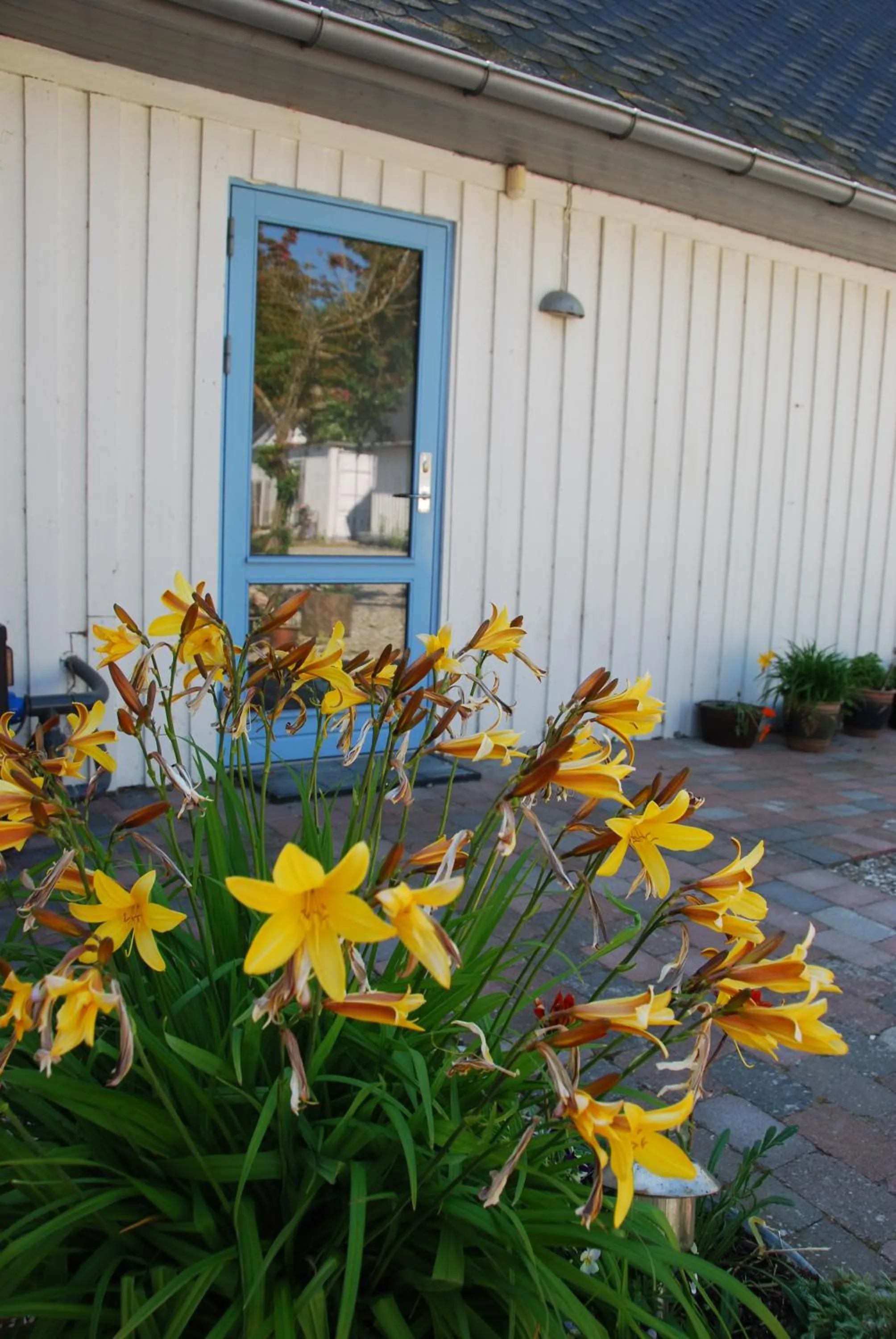 Quistgaarden Bed & Breakfast