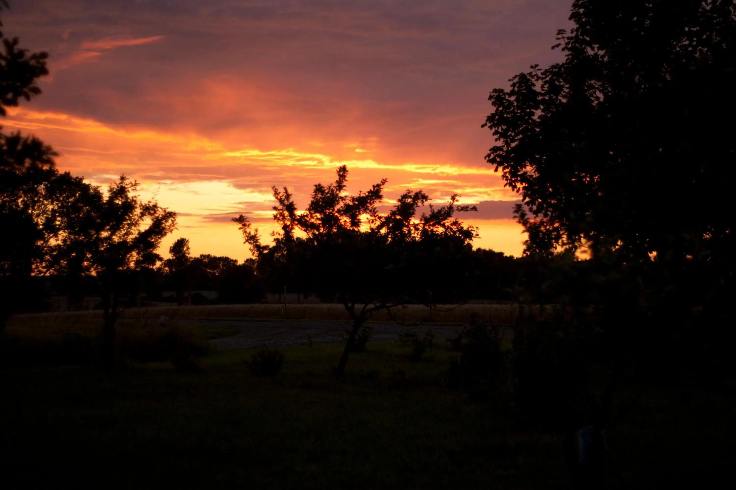 View (from property/room) in Quistgaarden Bed & Breakfast