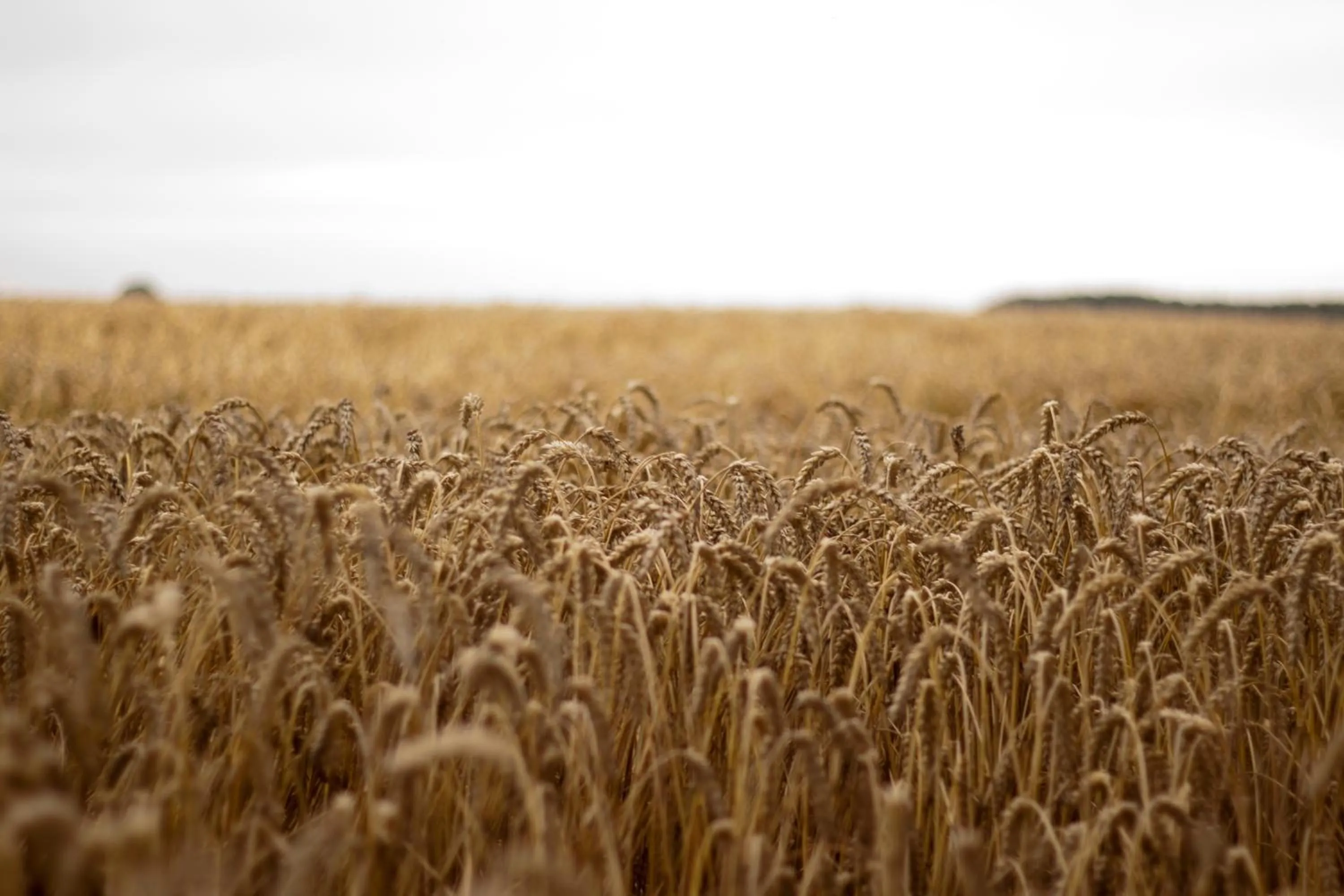 View (from property/room) in Quistgaarden Bed & Breakfast