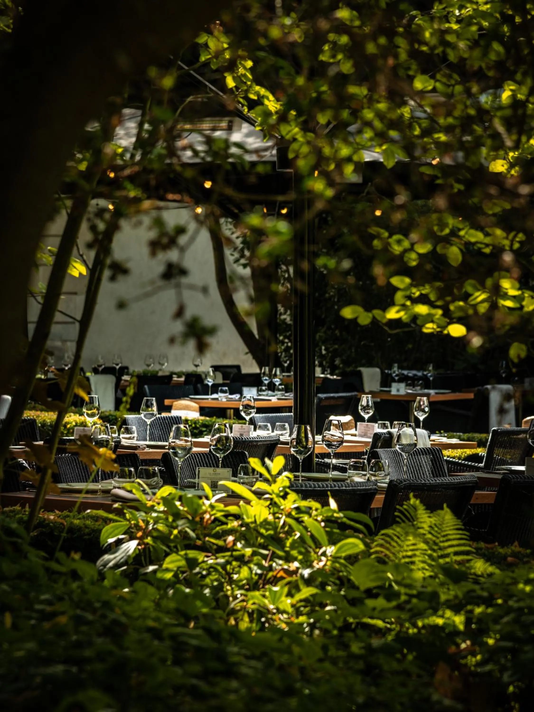 Restaurant/places to eat in Domaine les Crayères