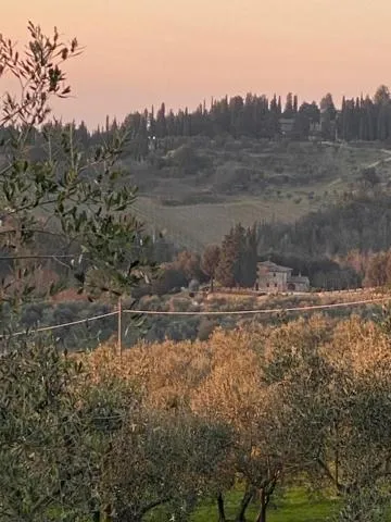 Property building in La Magnolia