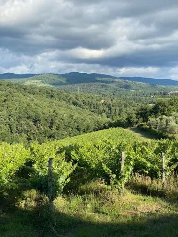 Property building in La Magnolia