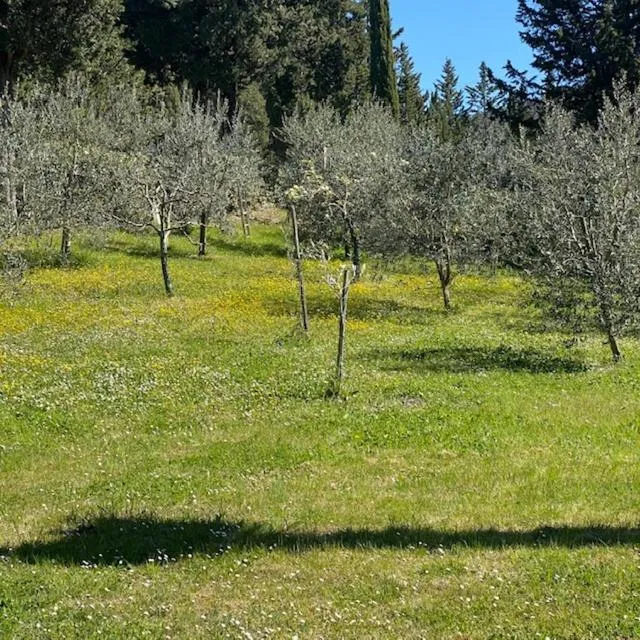 Property building in La Magnolia