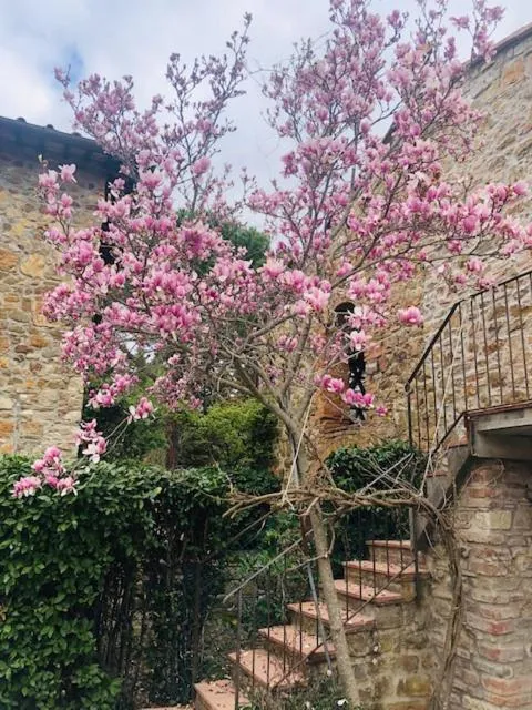 Property building in La Magnolia