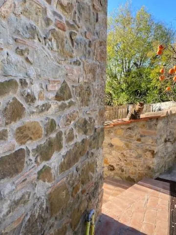 Property building in La Magnolia