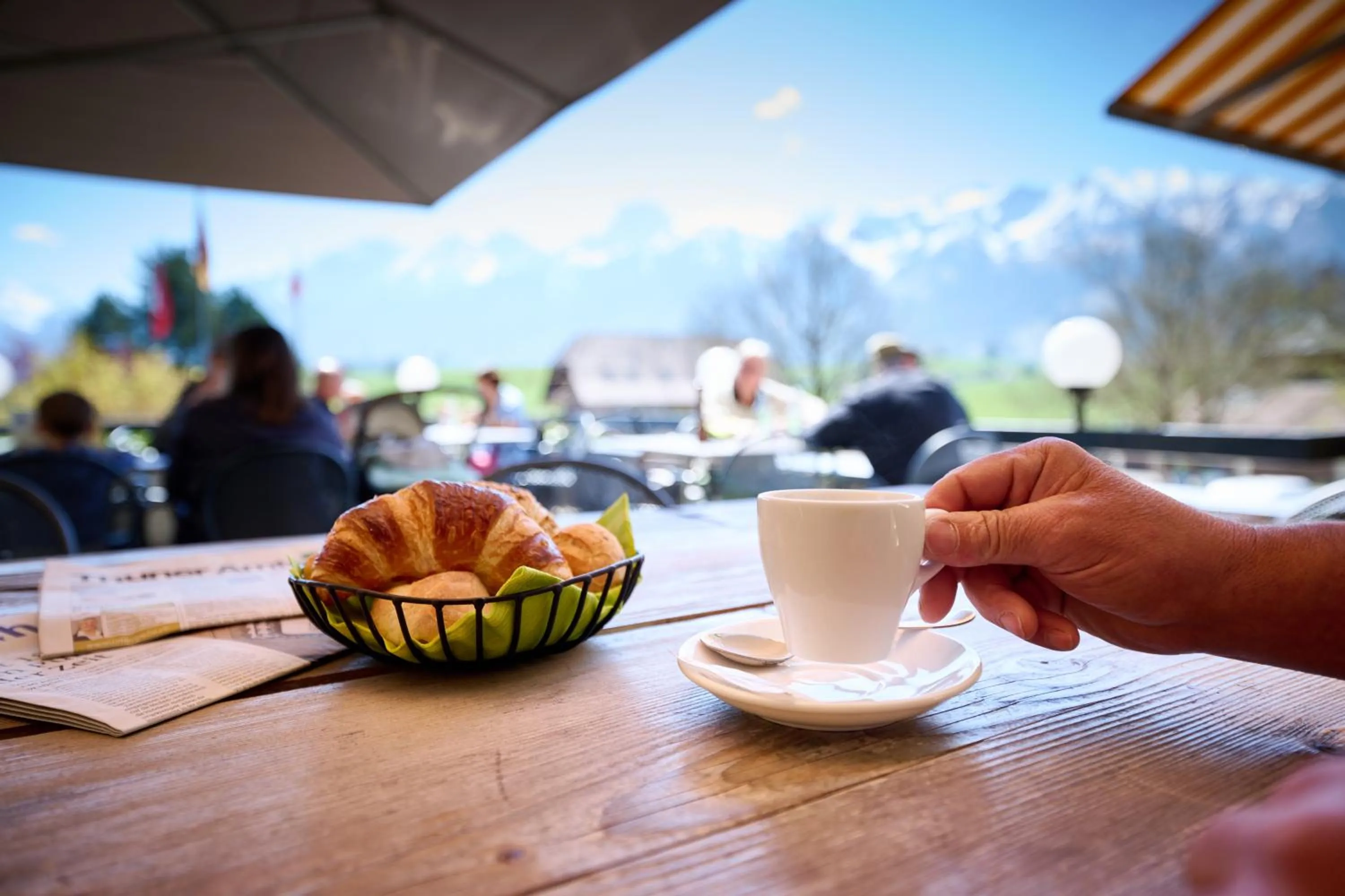 Erlebnisland Grizzlybär