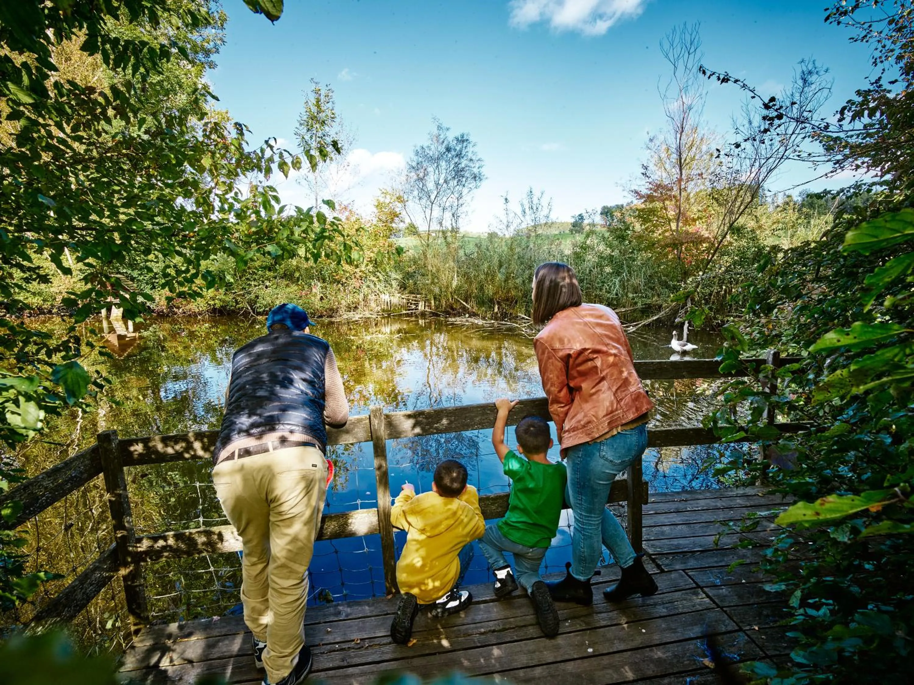 Erlebnisland Grizzlybär