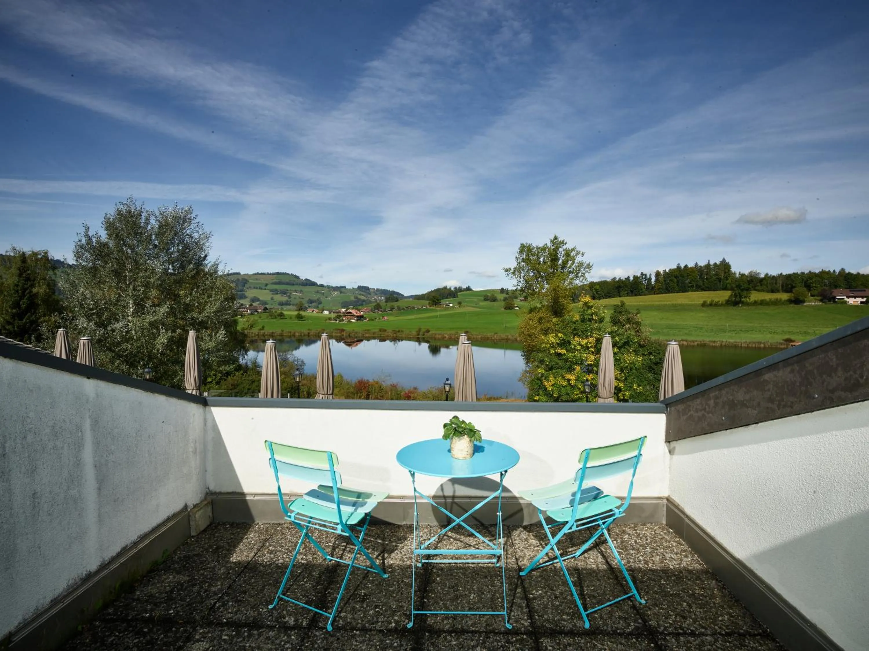 Erlebnisland Grizzlybär