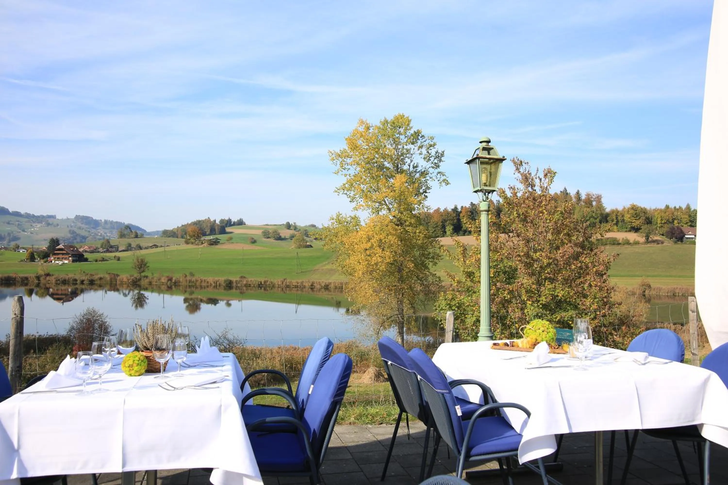Erlebnisland Grizzlybär