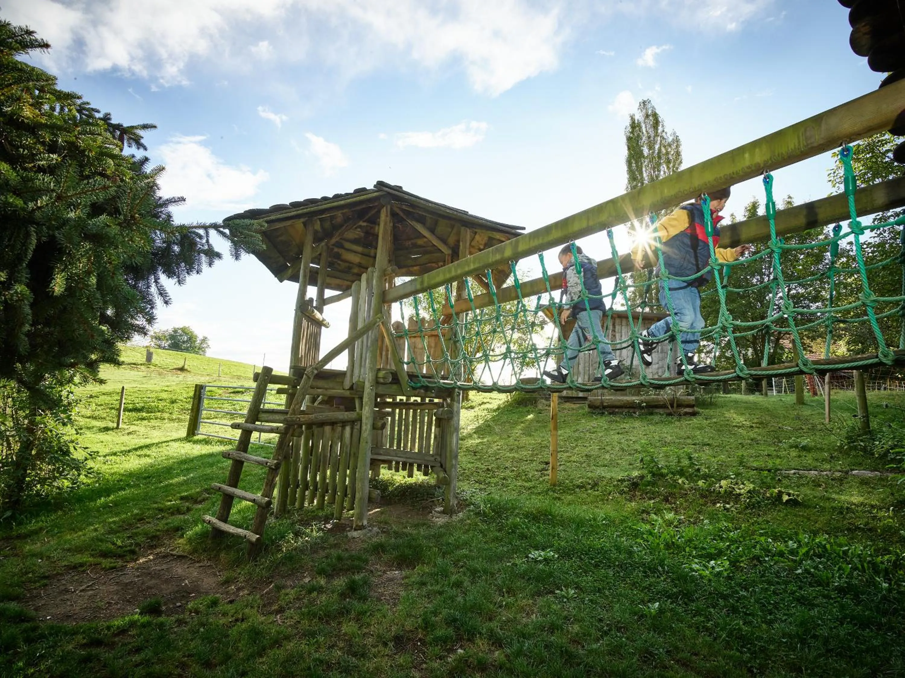 Erlebnisland Grizzlybär