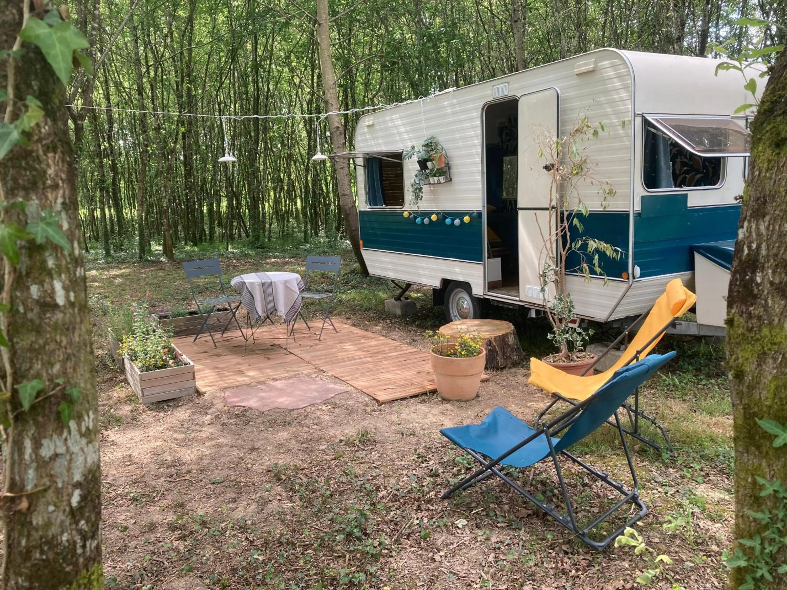 Photo of the whole room in L'Intemporelle