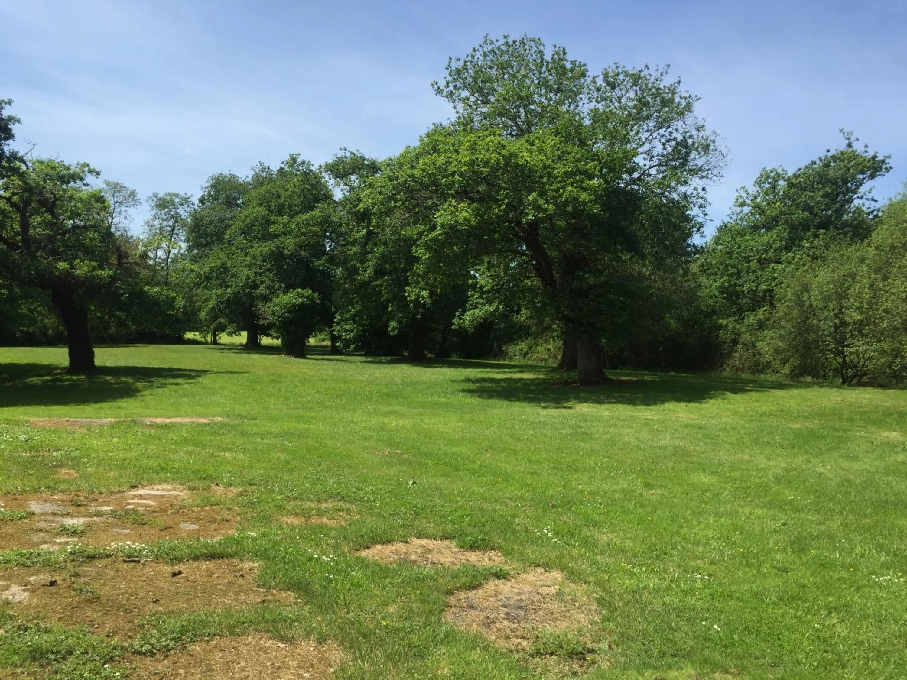 Garden in L'Intemporelle