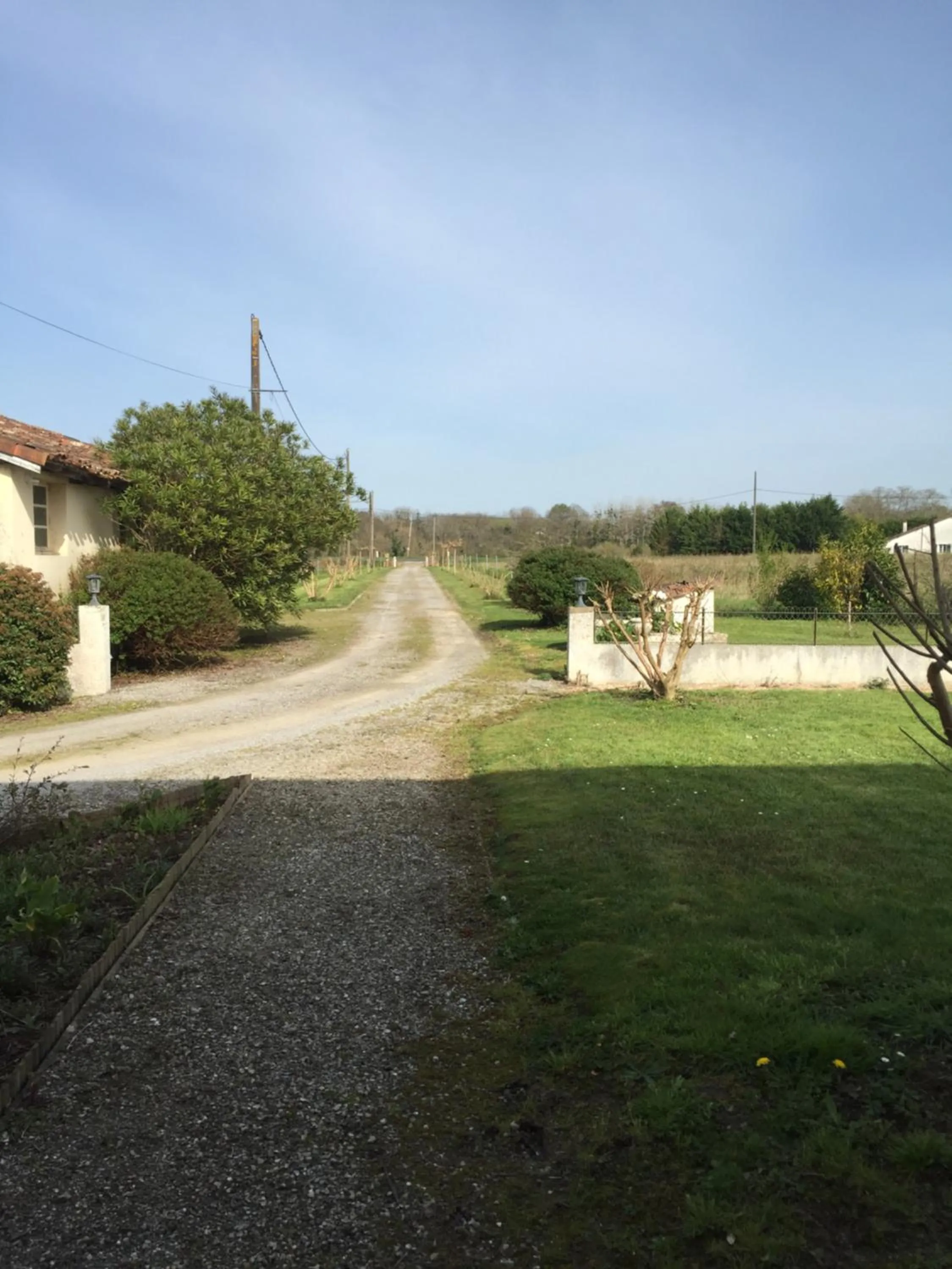 Garden in L'Intemporelle