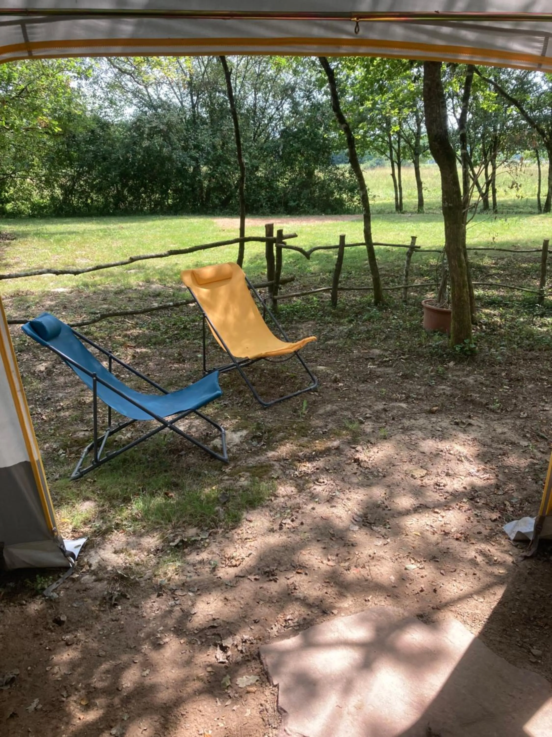 Garden view in L'Intemporelle