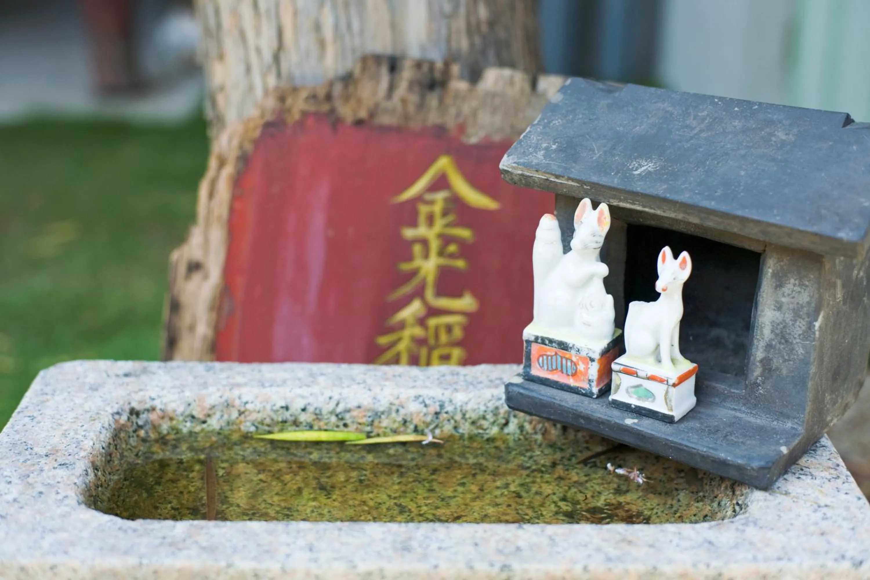 Garden in Torii-Kuguru