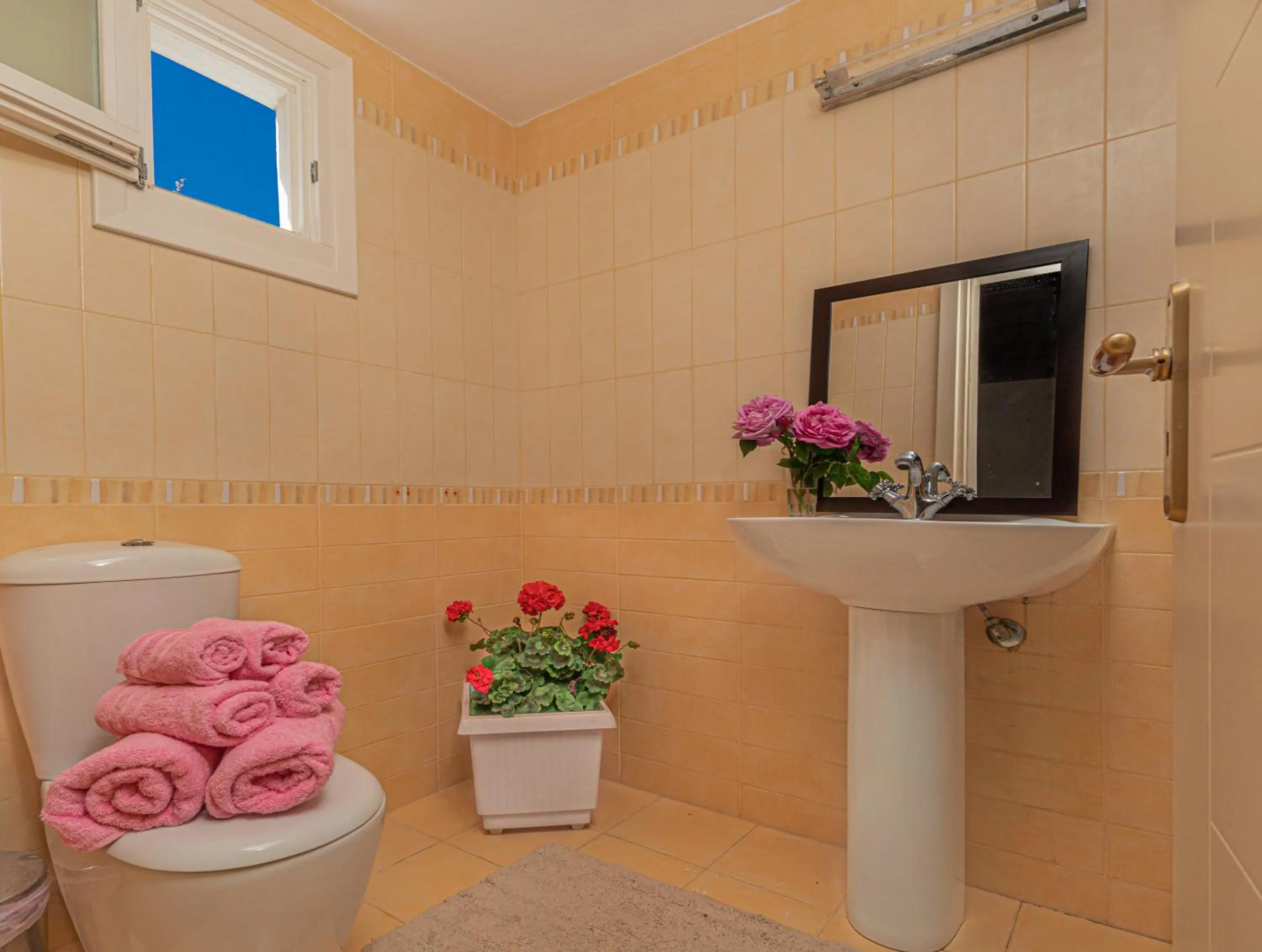 Toilet in Dimelal Mykonos Town Apartments