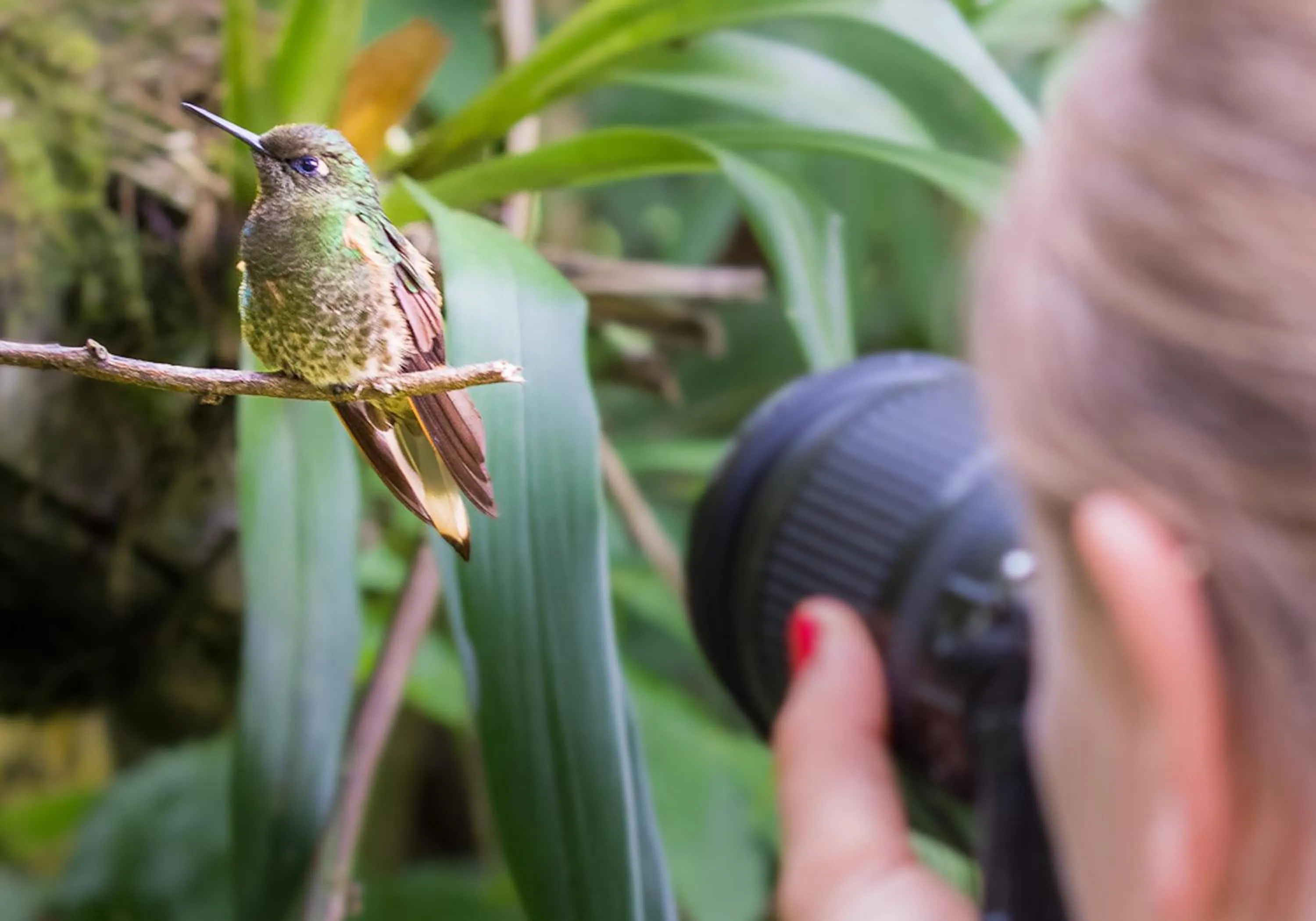 Natural landscape in MuchoSur Quimbaya