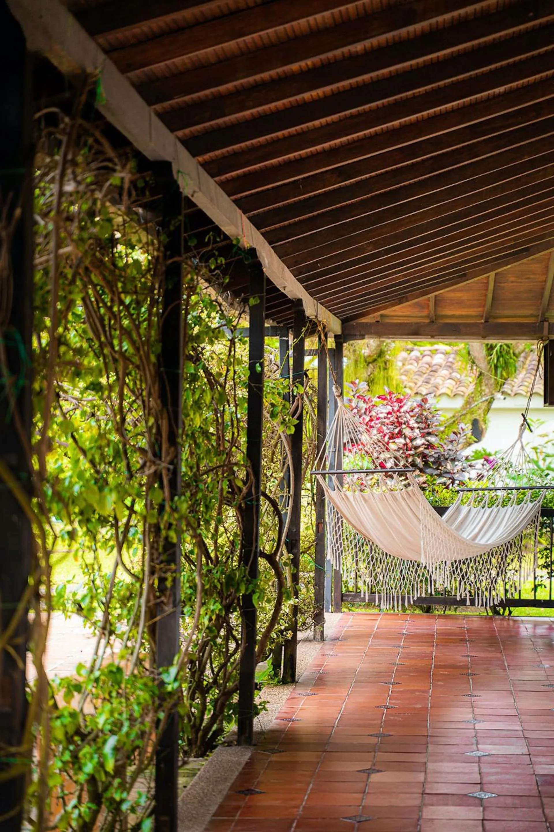 Decorative detail in MuchoSur Quimbaya