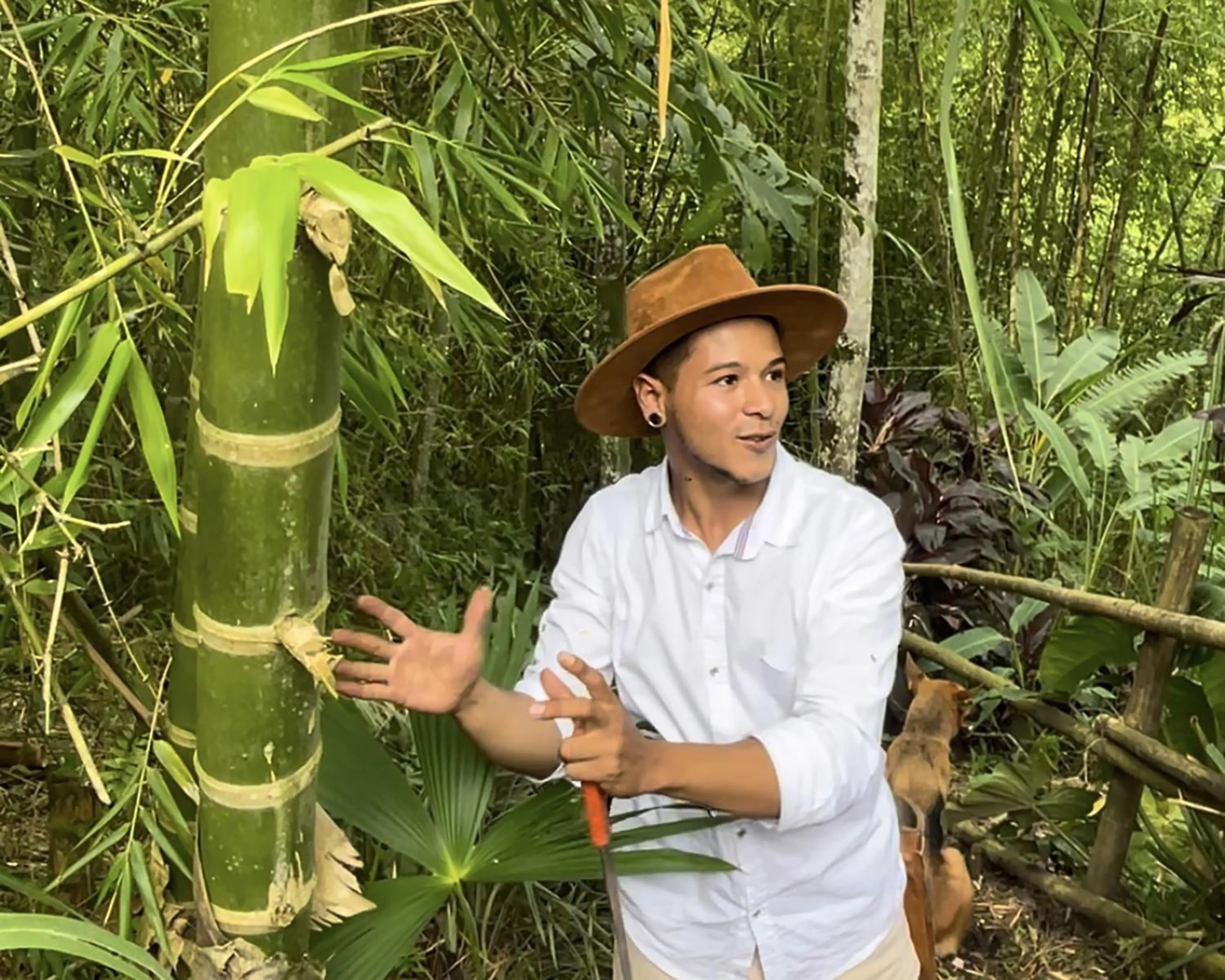 Natural landscape in MuchoSur Quimbaya