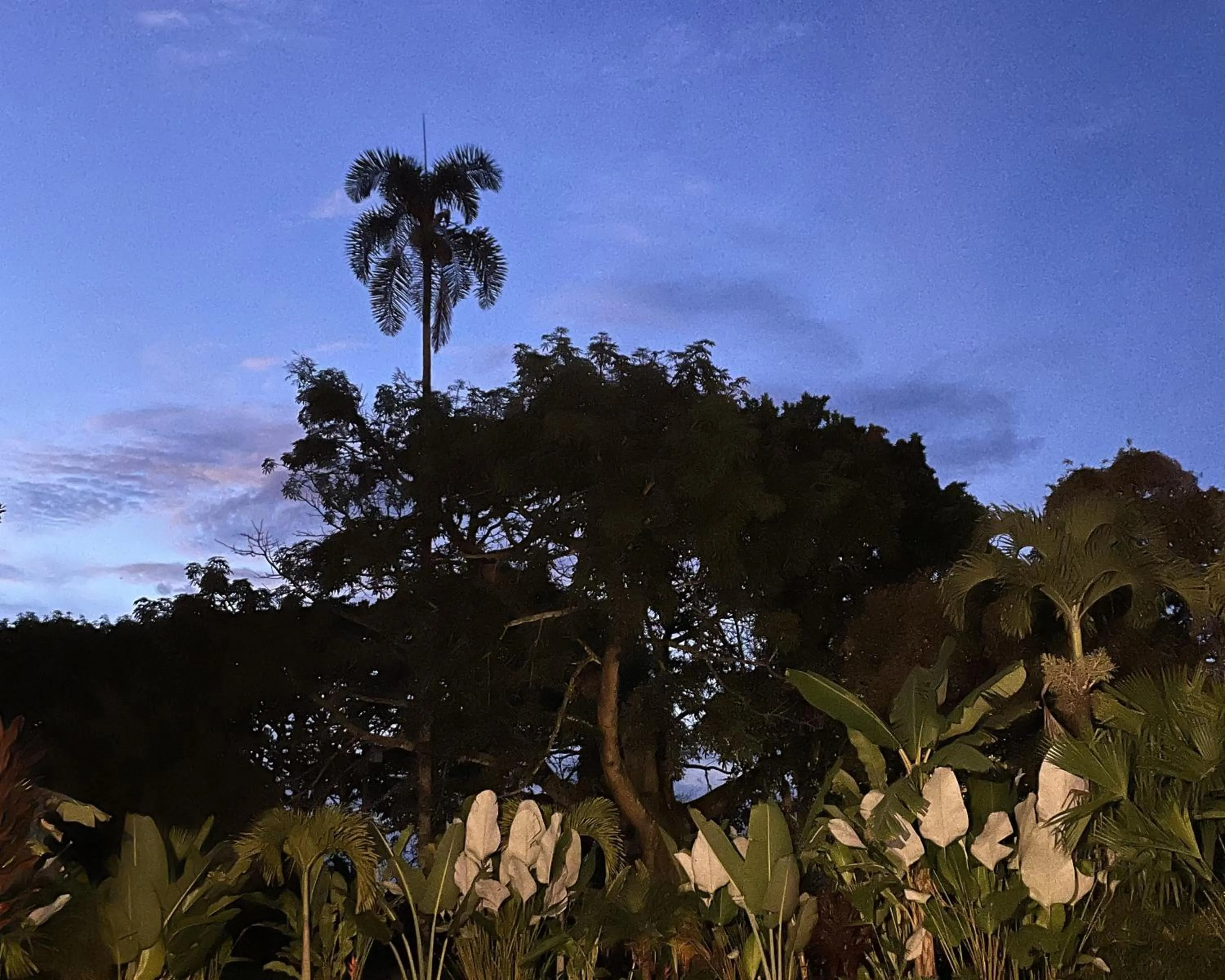 Sunset in MuchoSur Quimbaya