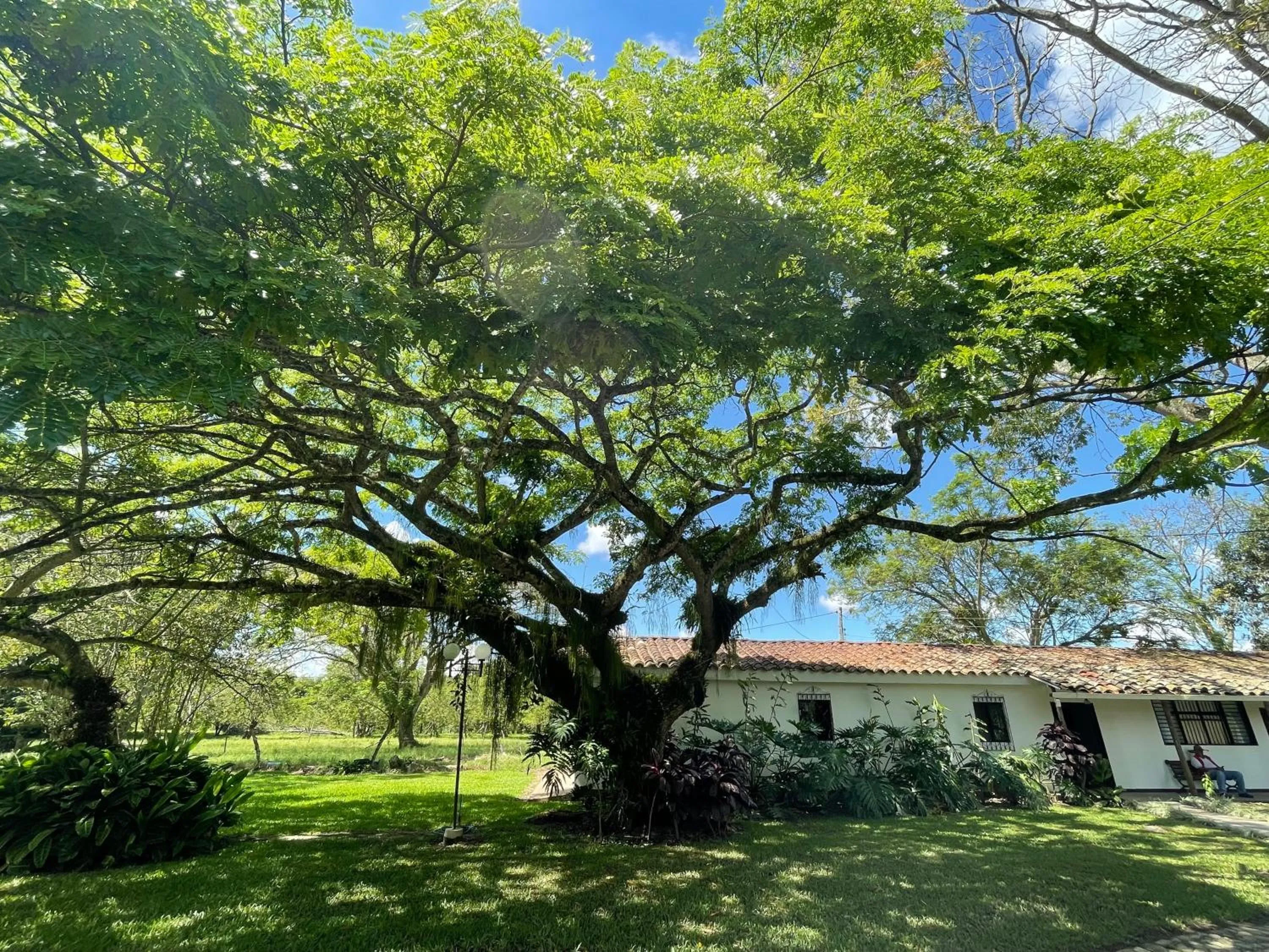 Garden view in MuchoSur Quimbaya