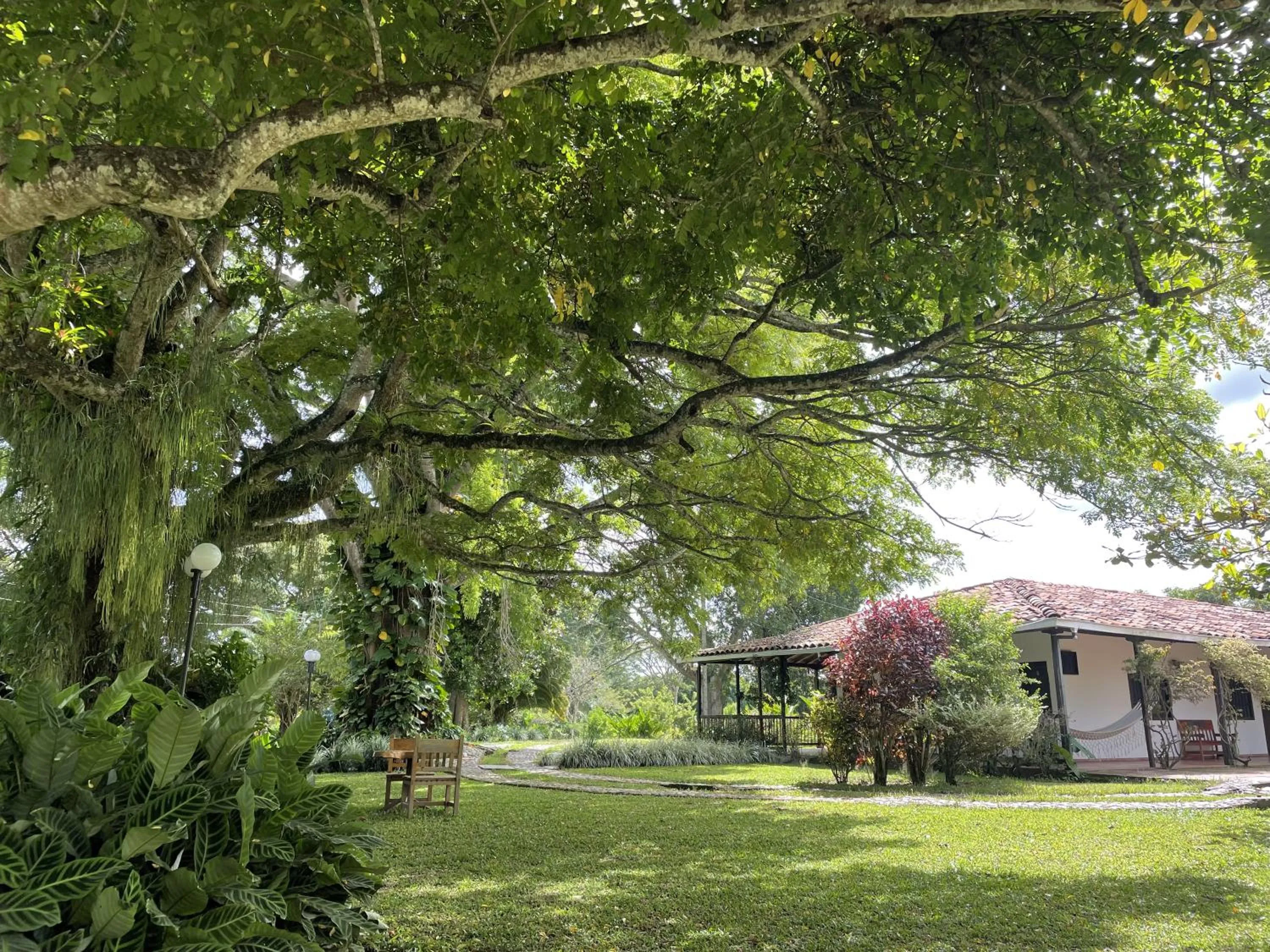 Property building in MuchoSur Quimbaya