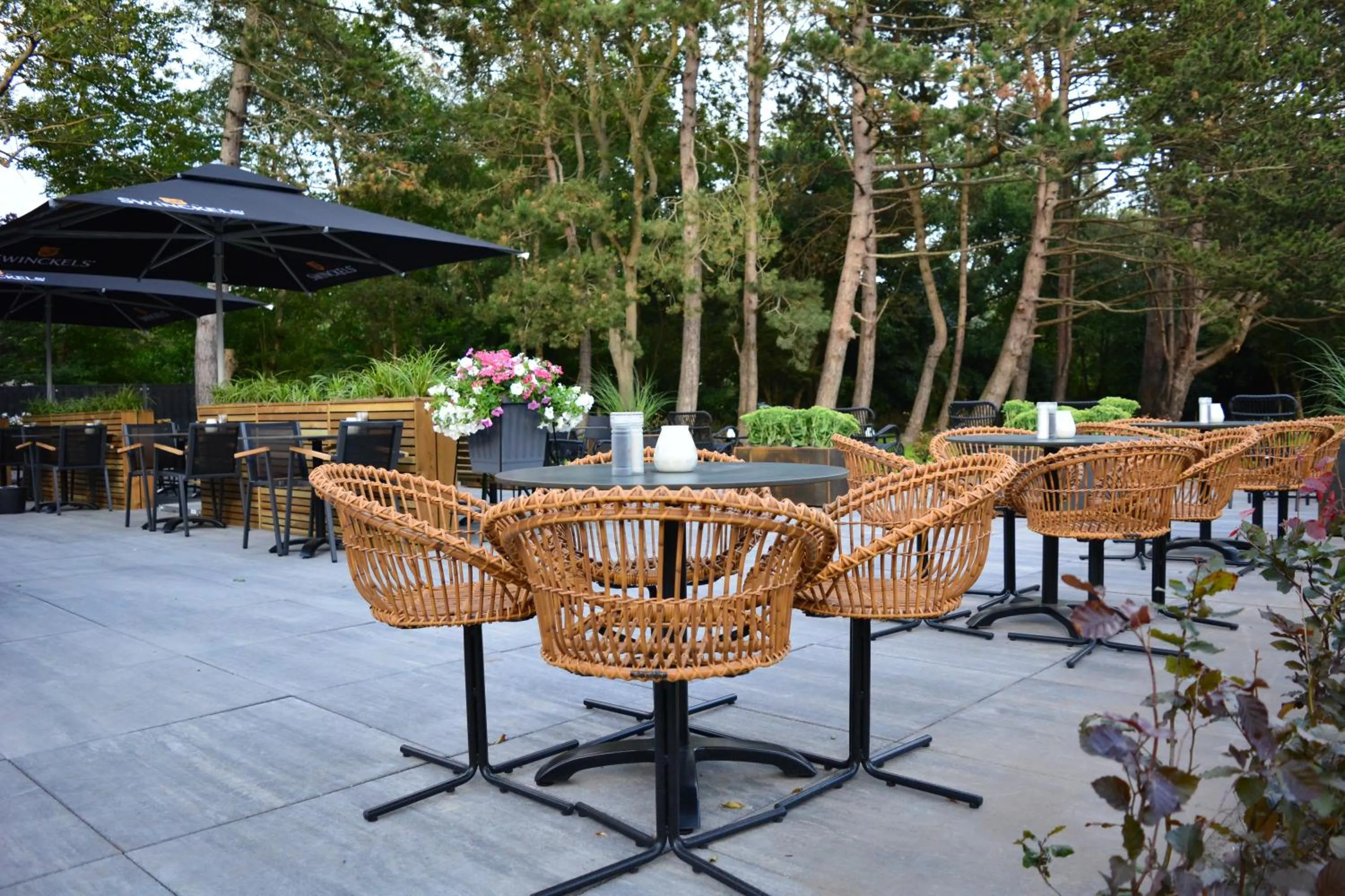 Balcony/Terrace in Fletcher Strandhotel Haamstede