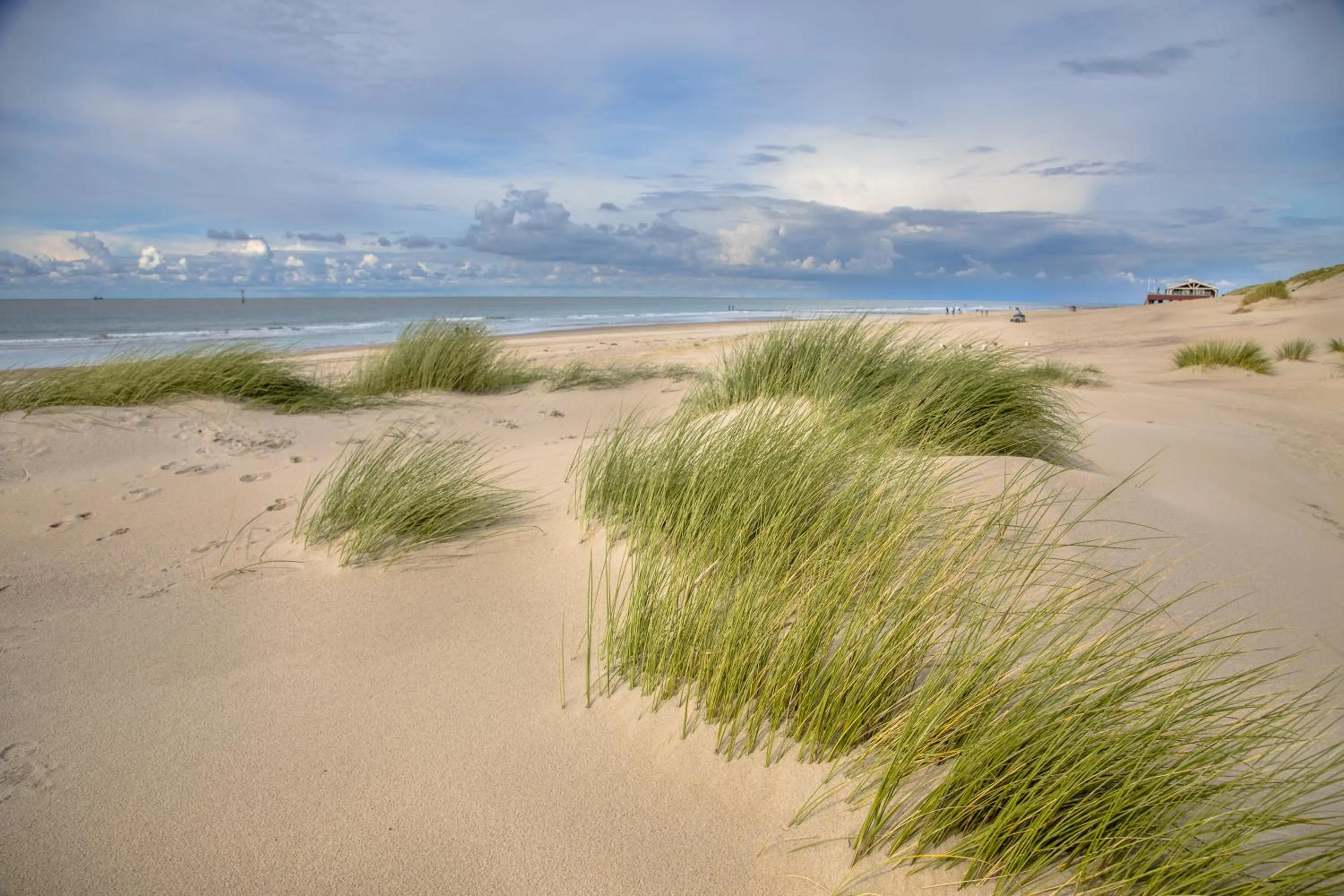 Natural landscape in Fletcher Strandhotel Haamstede