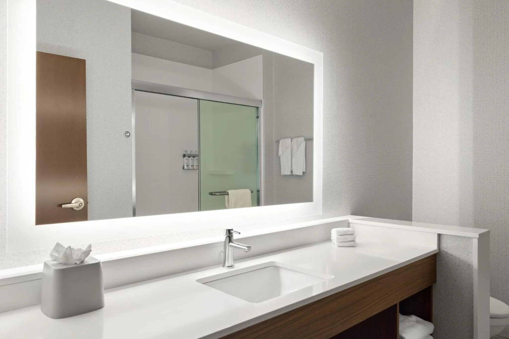 Bathroom in Holiday Inn Express & Suites - Madison West - Middleton by IHG