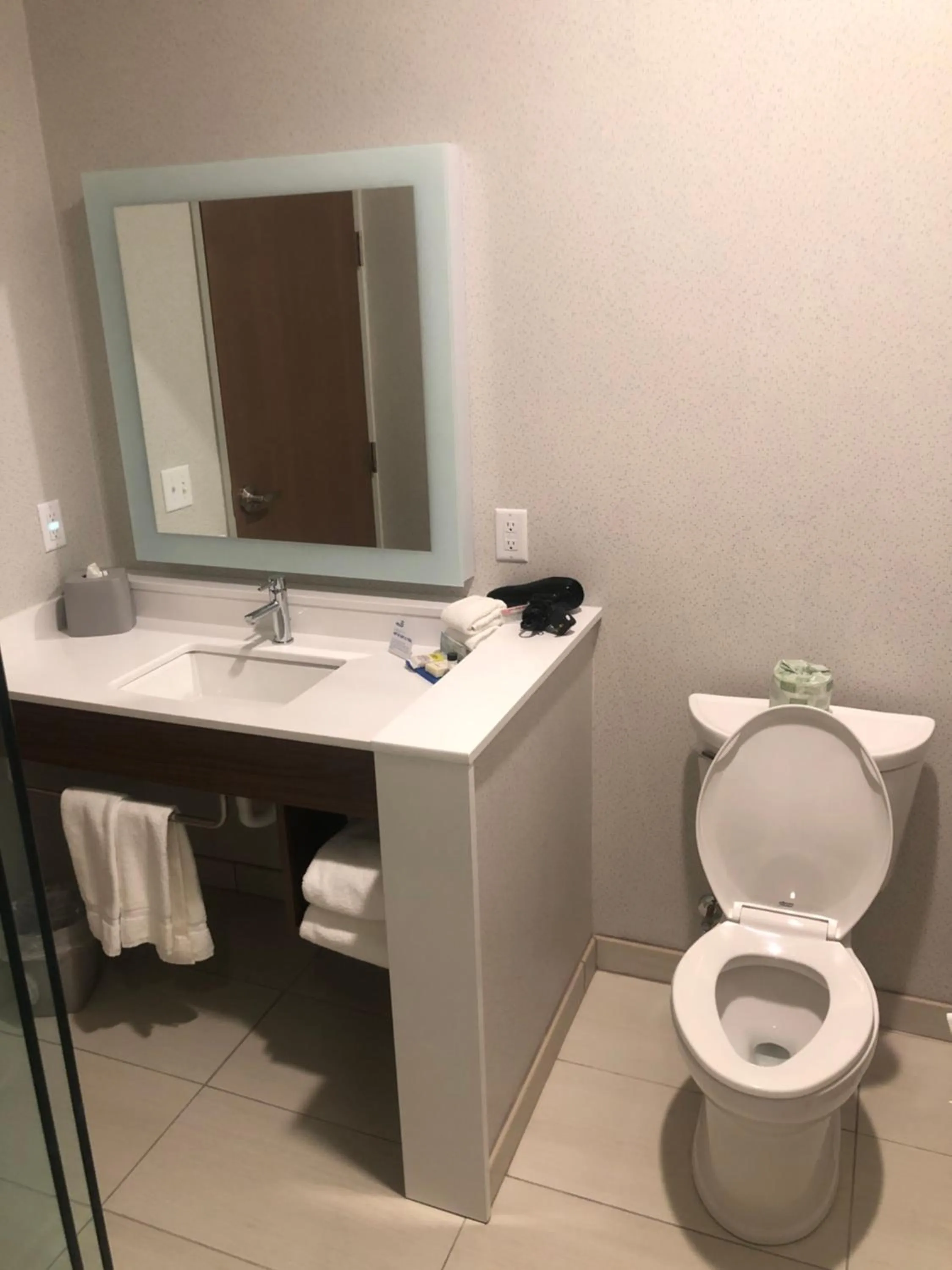Bathroom in Holiday Inn Express & Suites - Madison West - Middleton by IHG