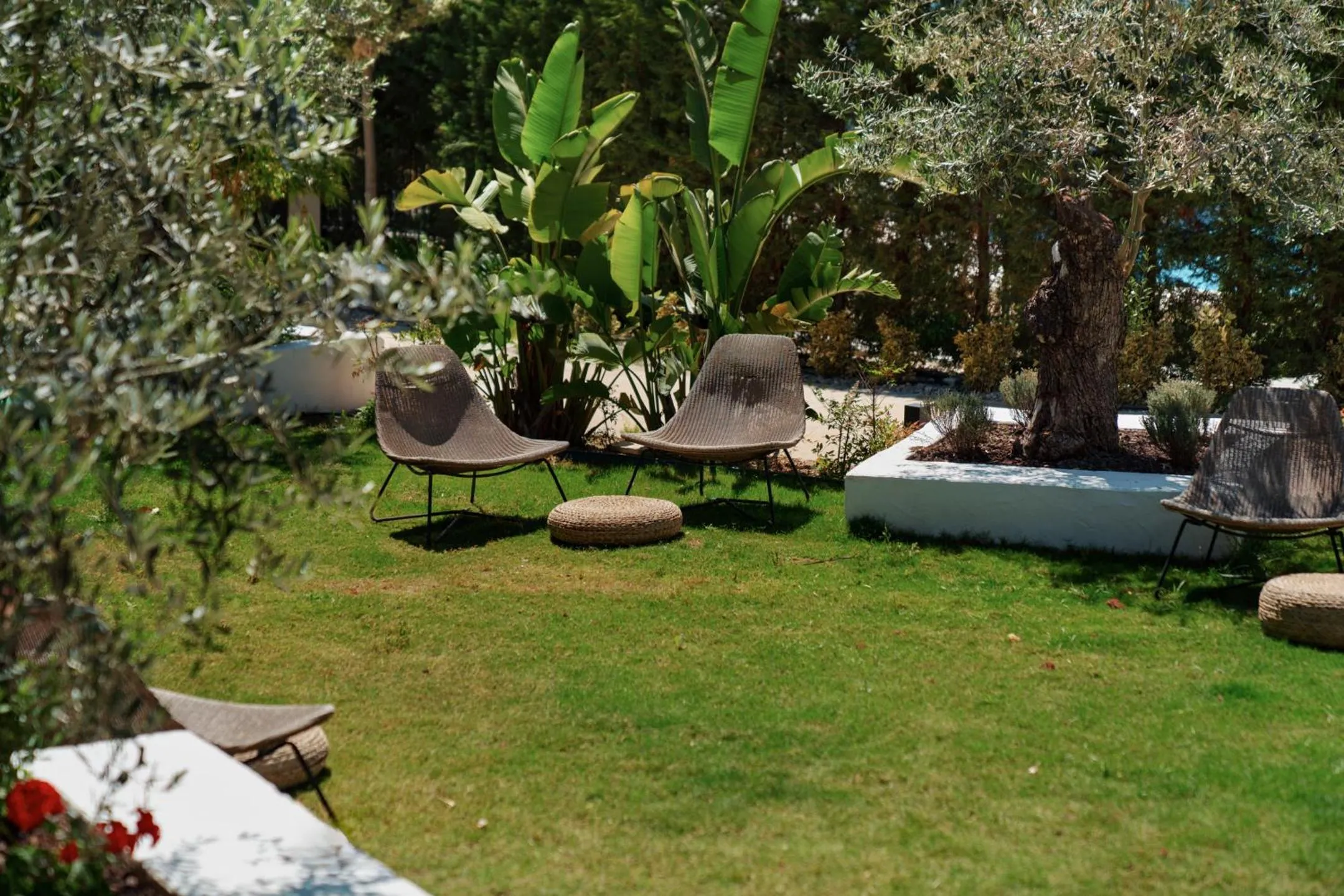 Ölüdeniz Blu Luxury Unique Hotel - Adults-Only