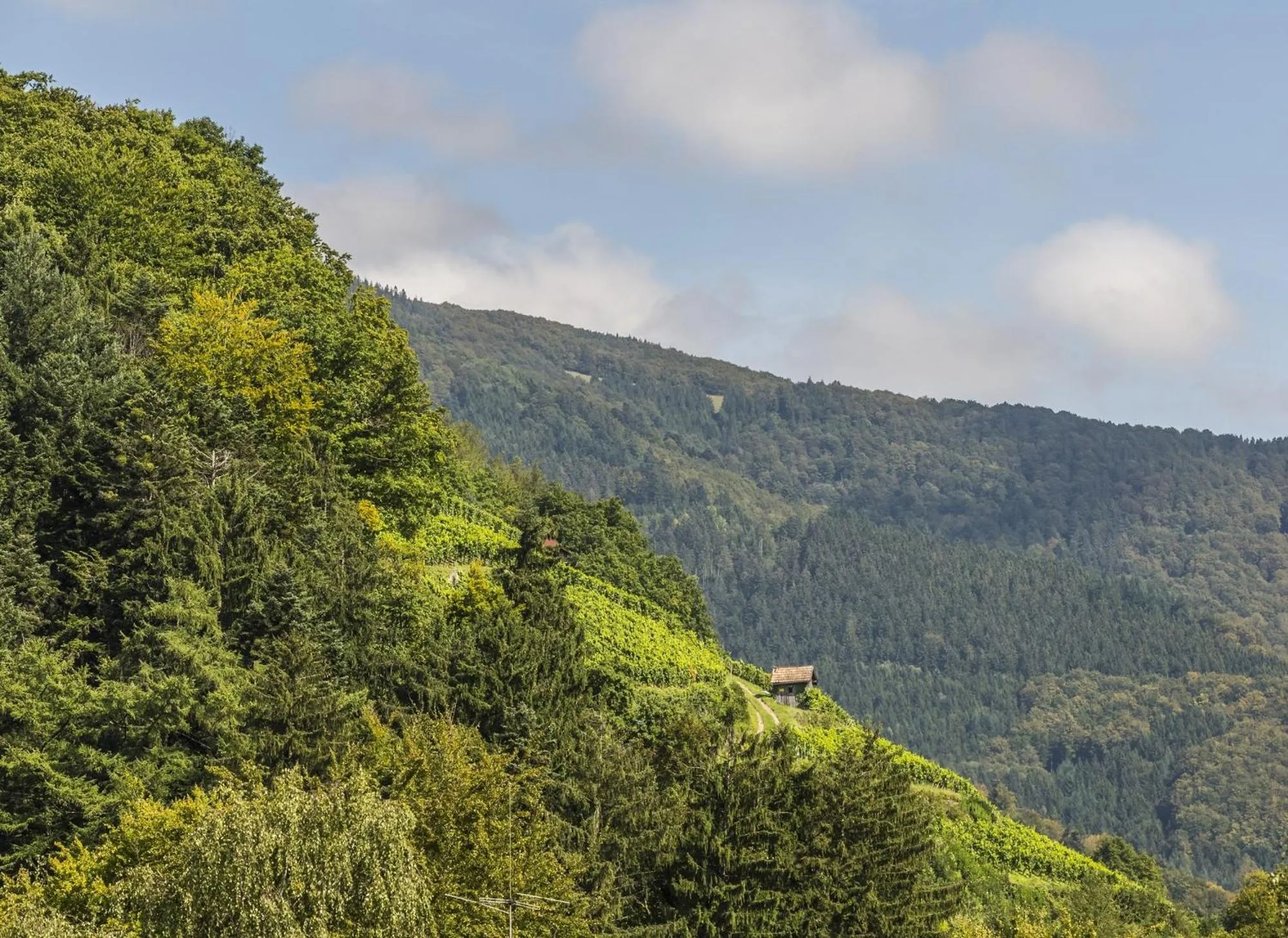 Day in Hotel-Gasthaus Goldener Engel