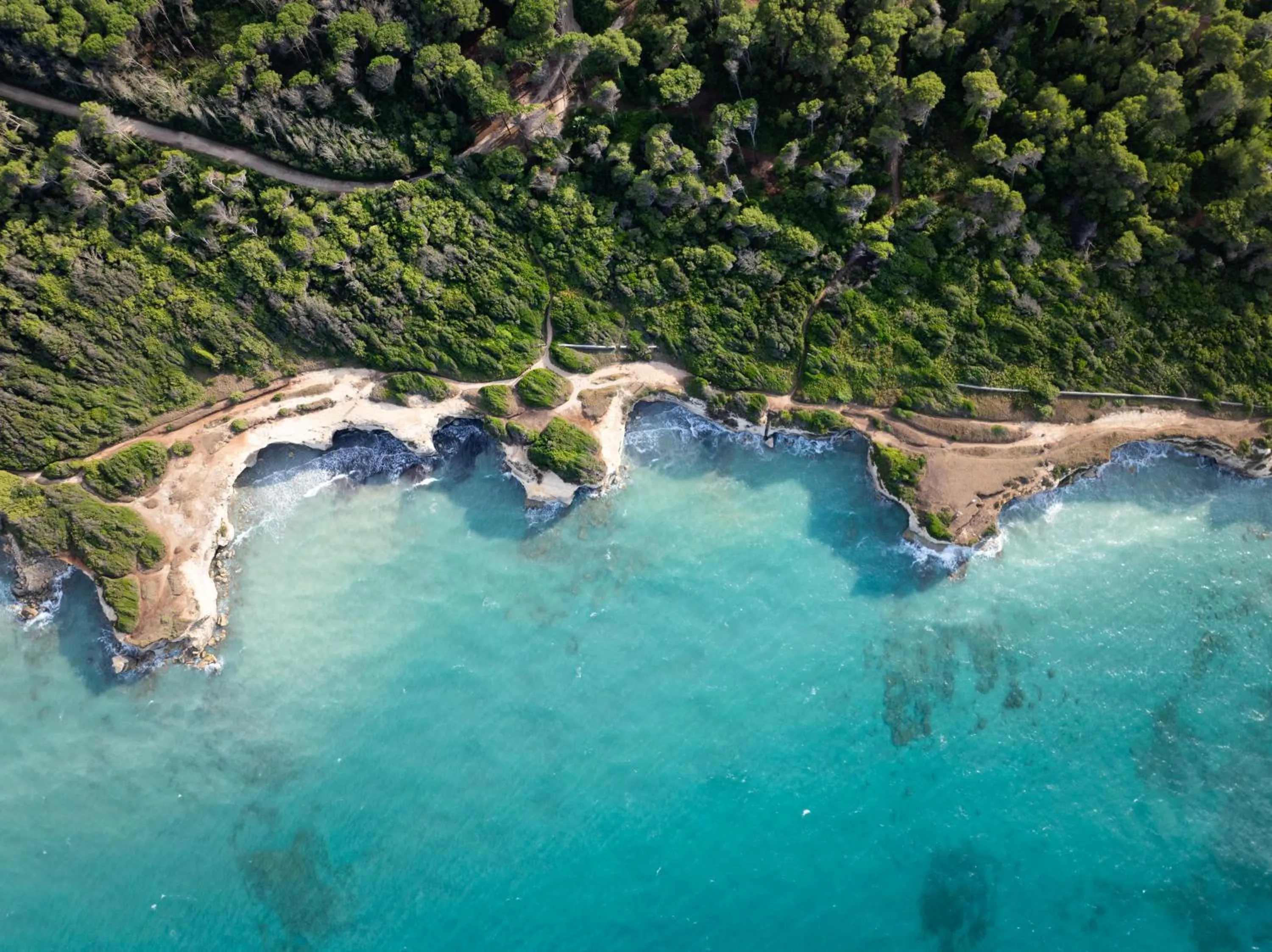 Bird's eye view in VOI Daniela Essentia