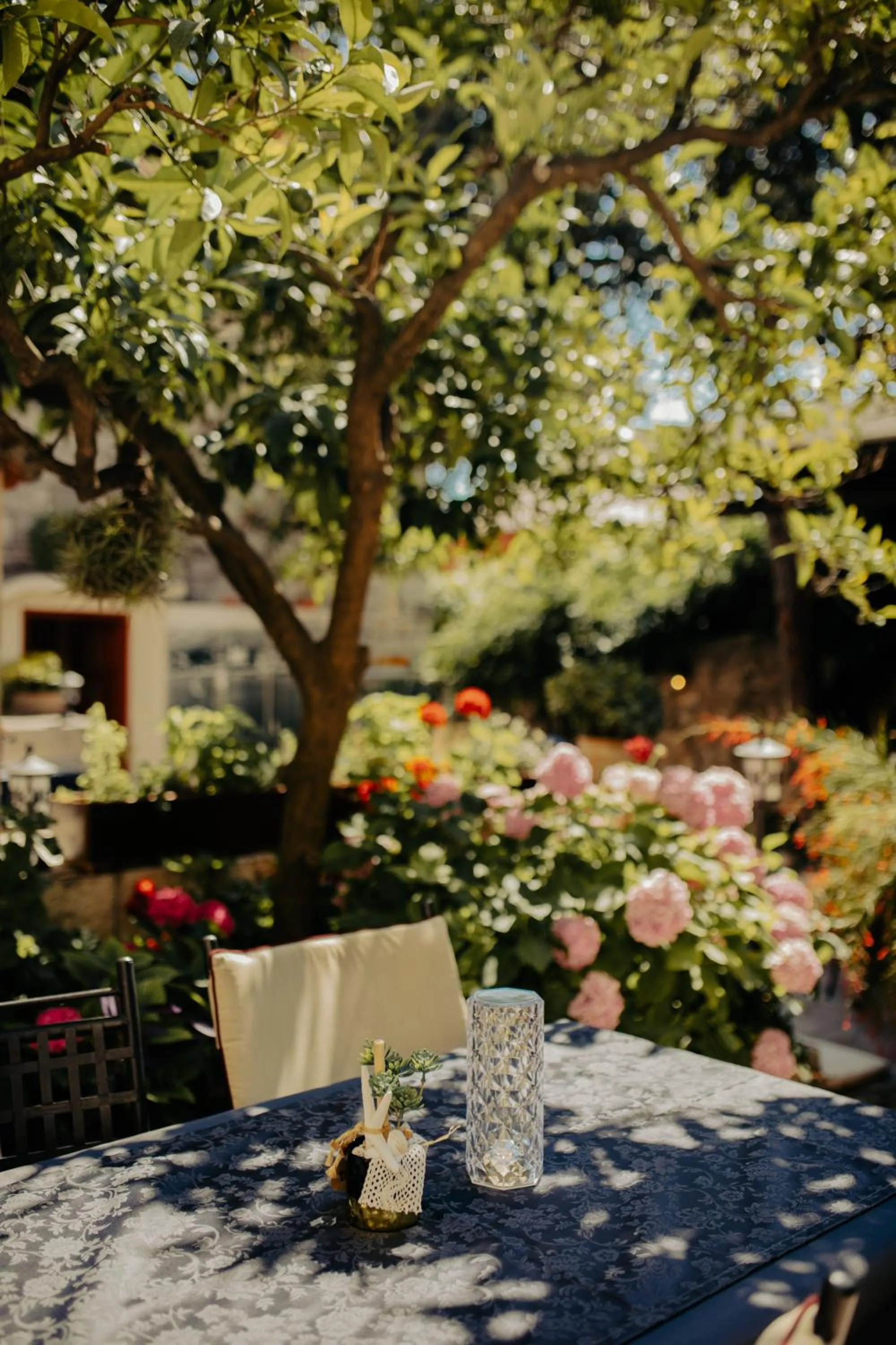 Garden in Guesthouse Mimbelli