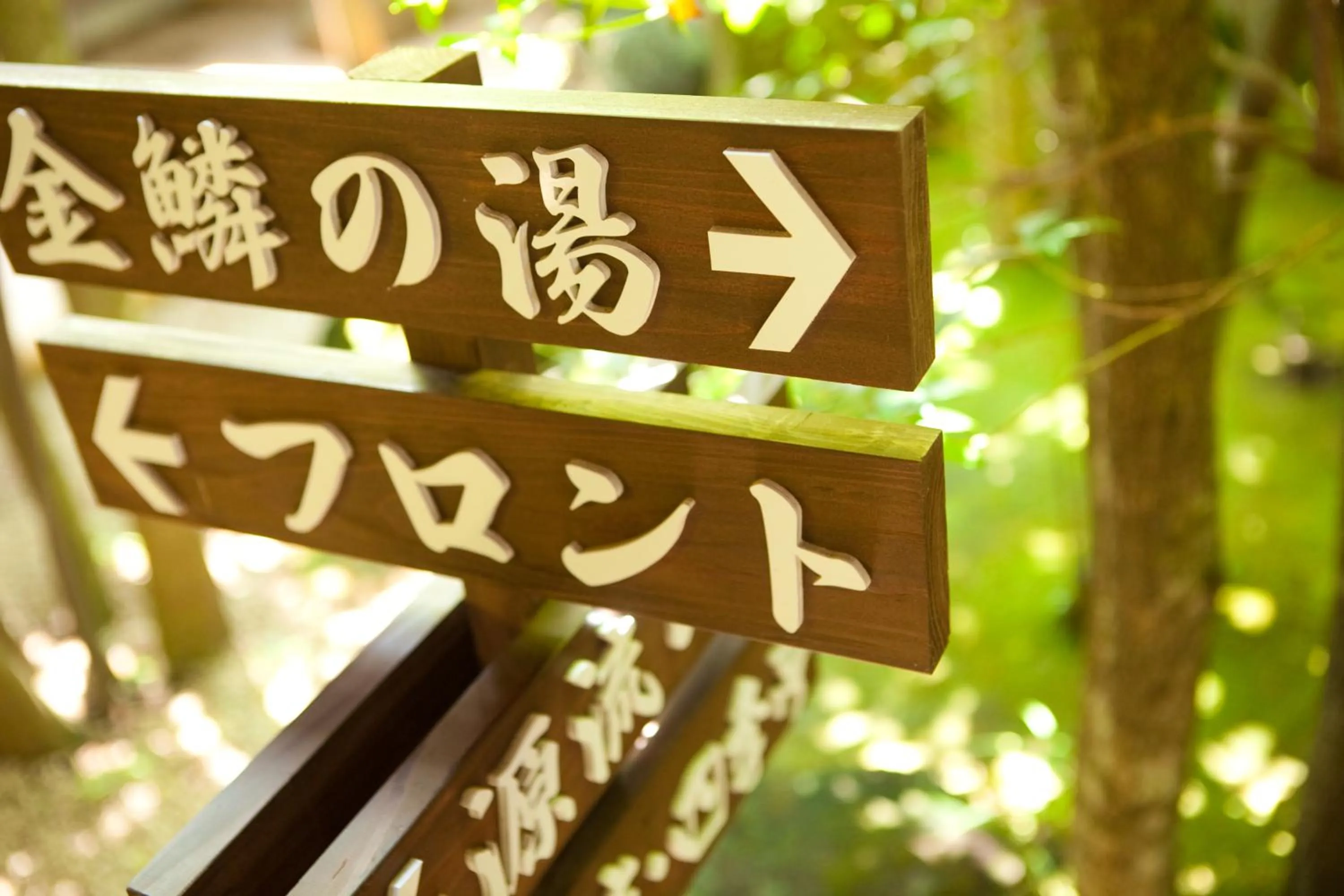 Other in Ryotei Tanokura