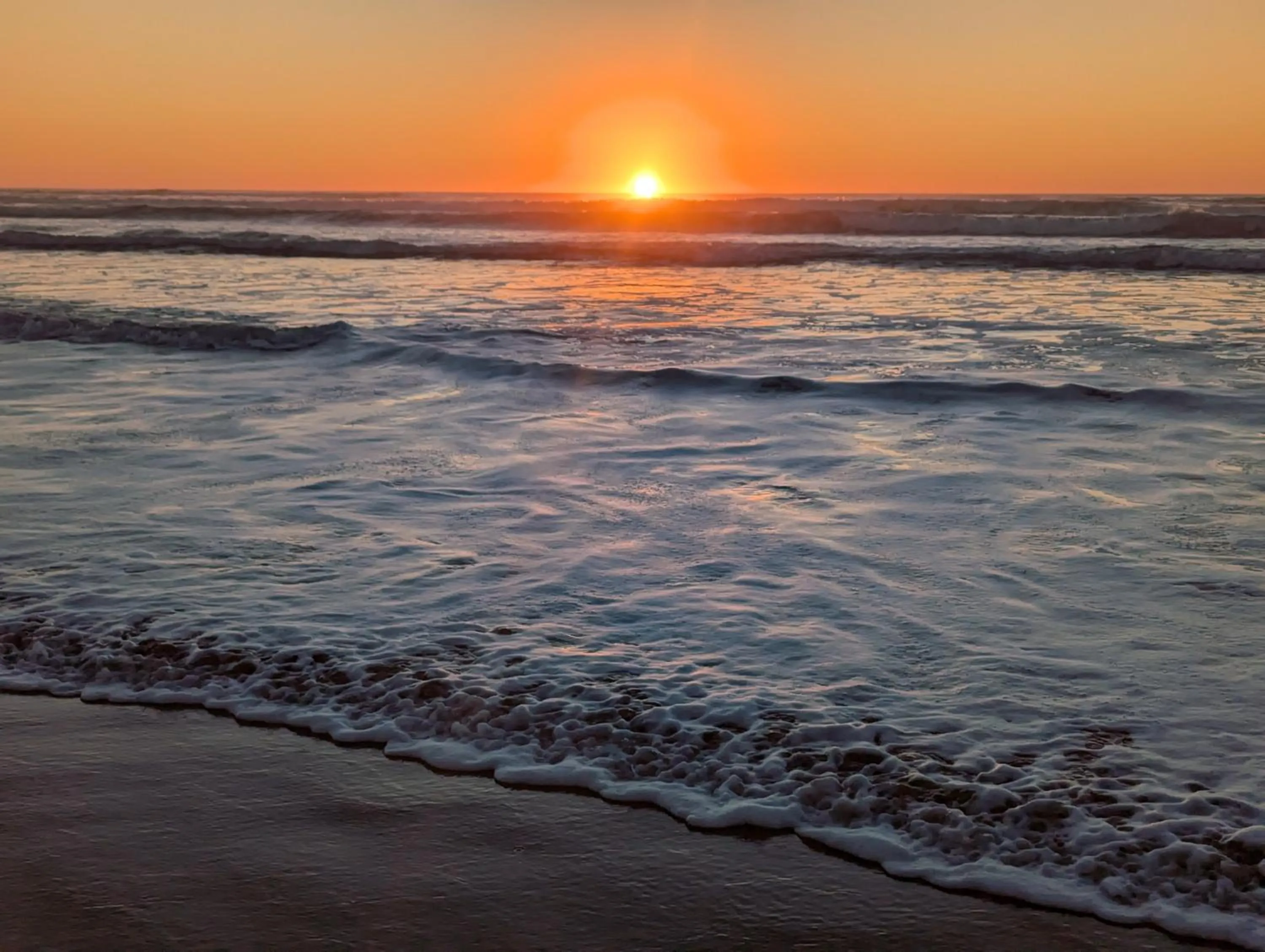 Natural landscape in Coastal Inn and Suites
