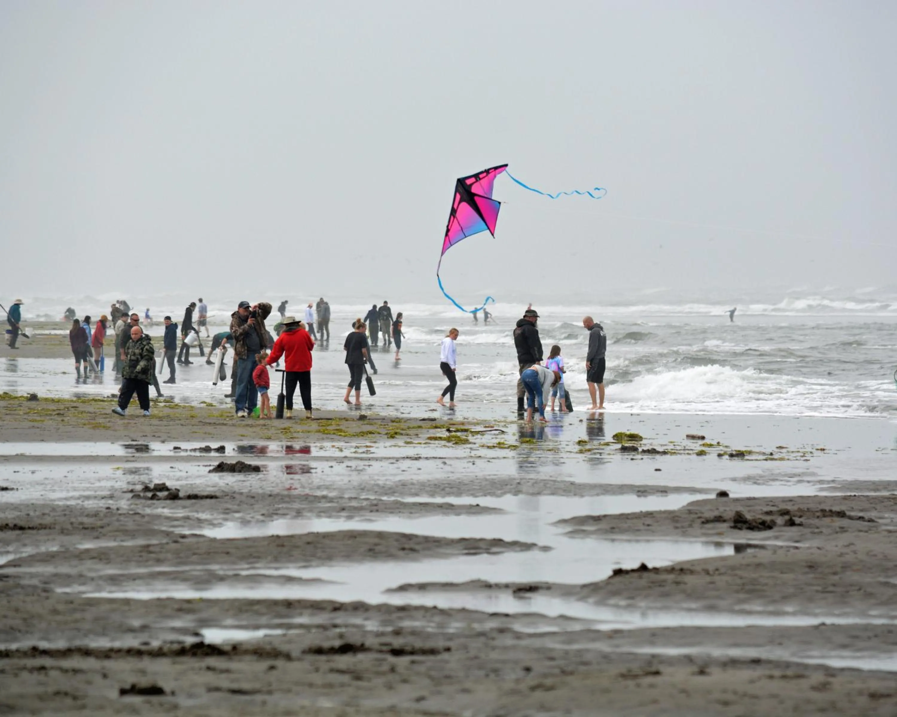 Activities in Coastal Inn and Suites