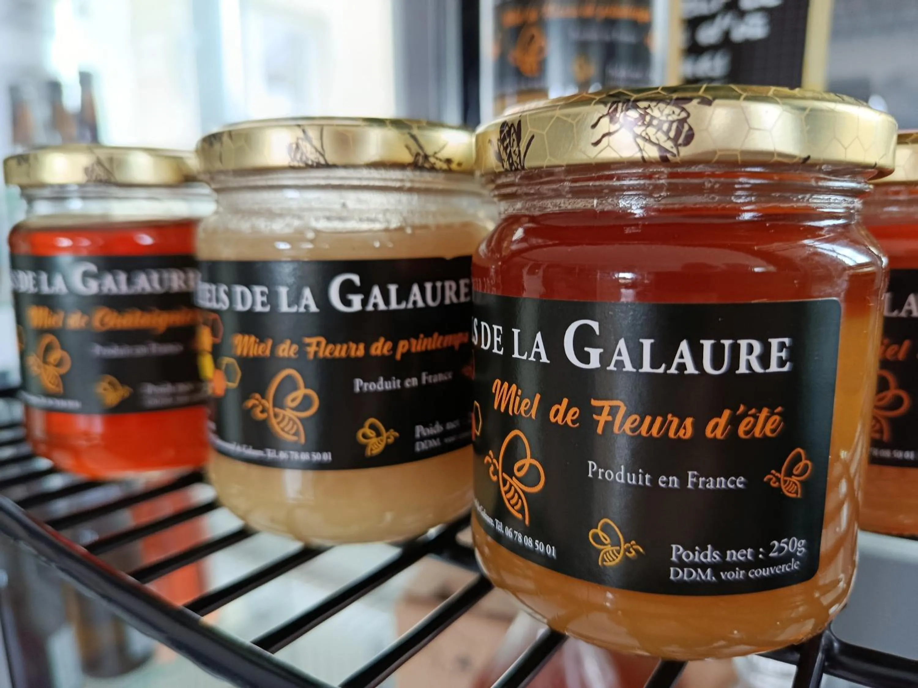 Logis Hotels Restaurants- Villa des Bordes