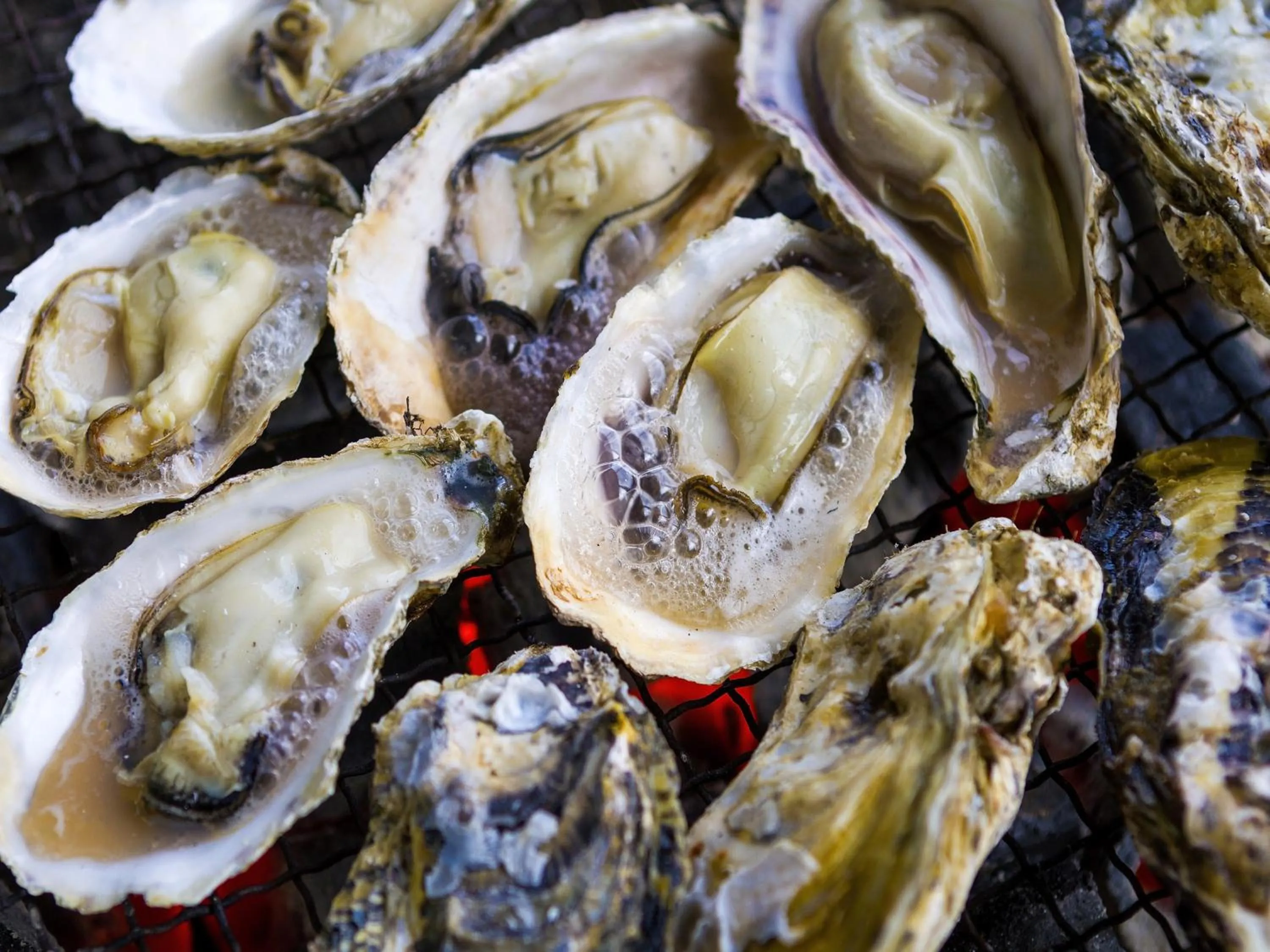 Nearby landmark in Hotel Torifito Hakata Gion