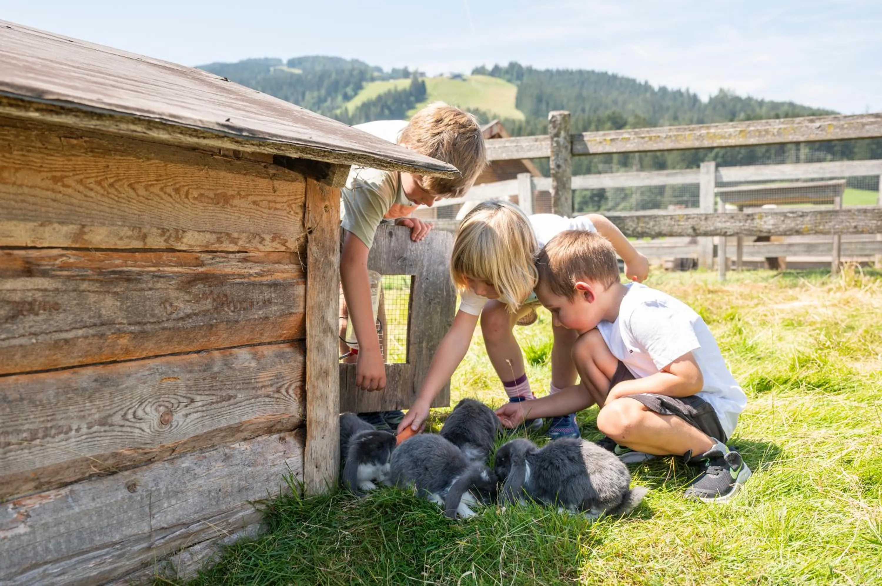Pets in Aparthotel Stadler