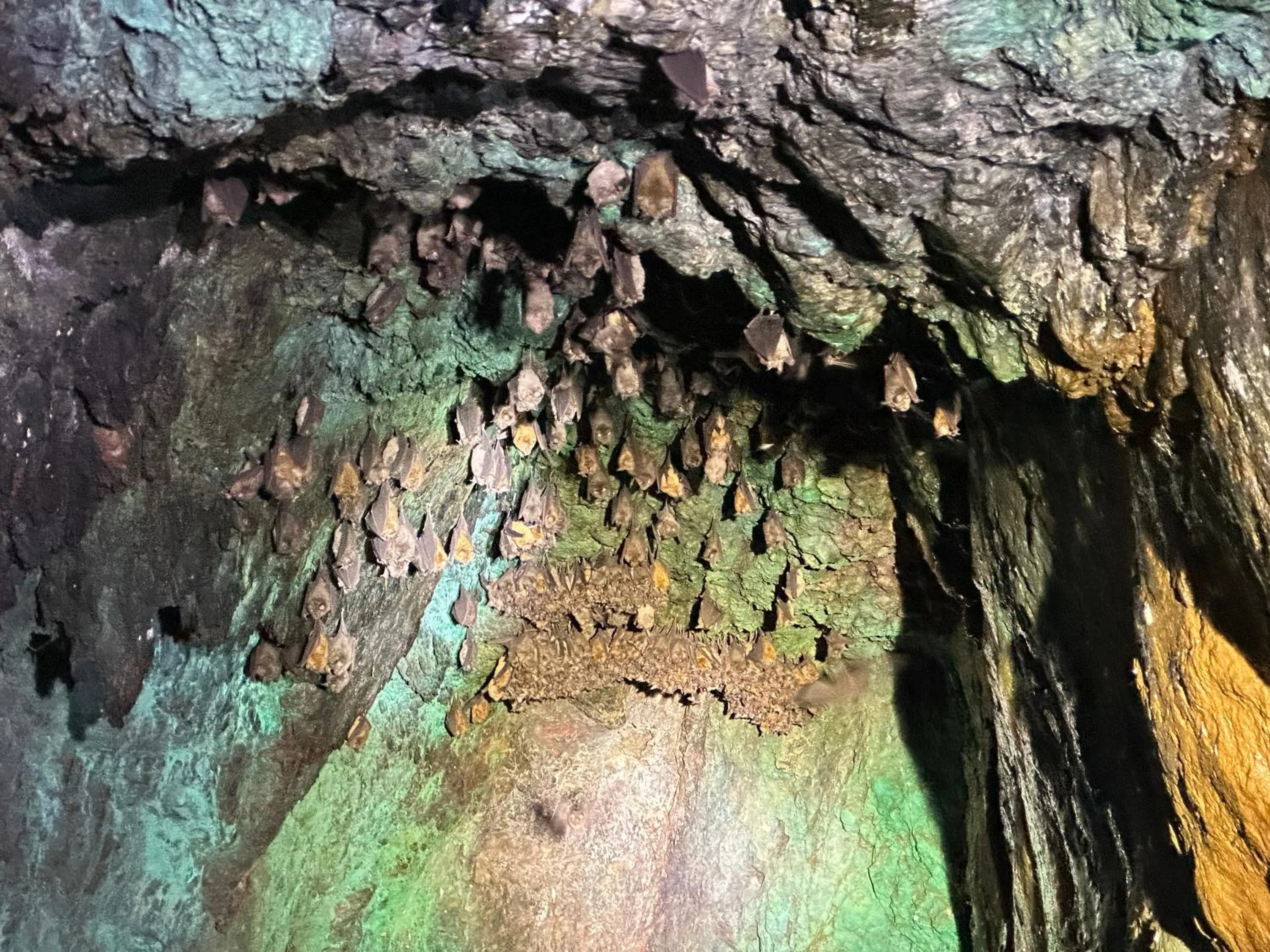 Activities in Valley Lodge - Babanango Game Reserve